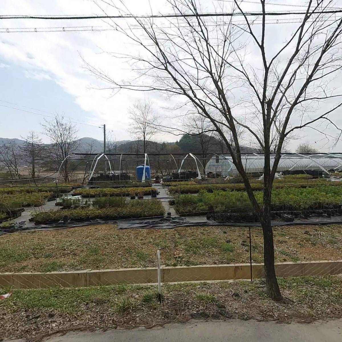 생활미학