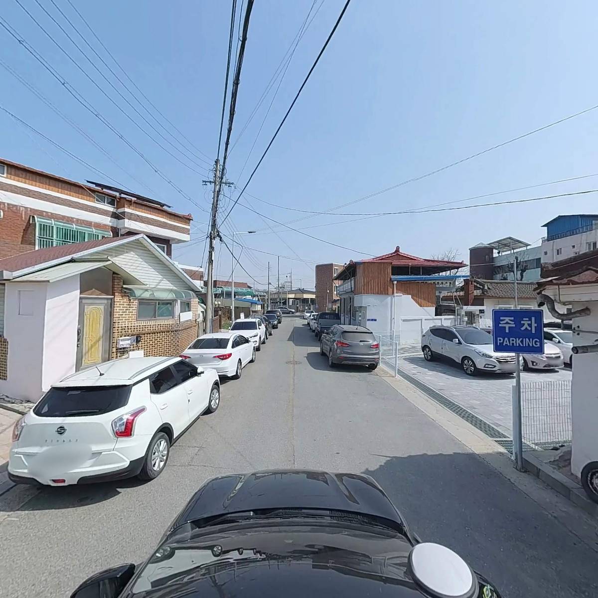 조치원동물병원_4