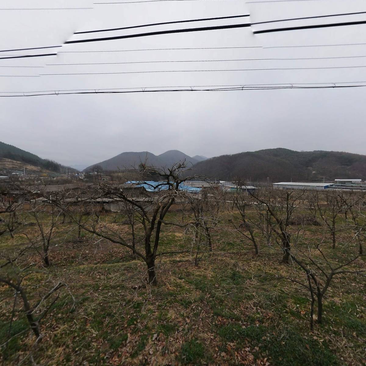 경주이씨 동재공파문중