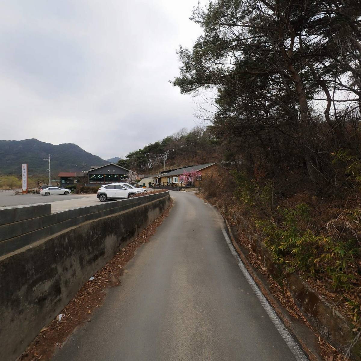 대식한우명가_2
