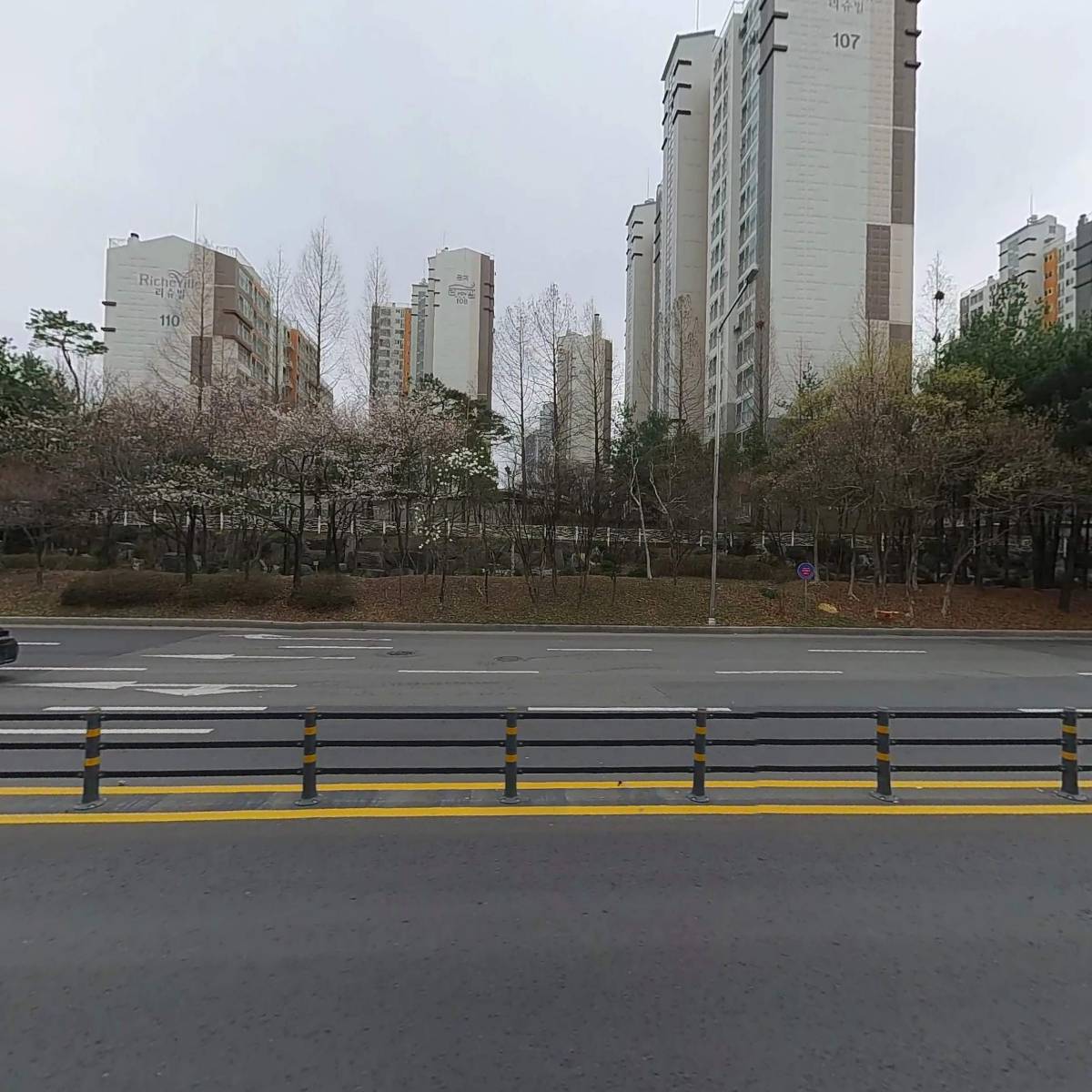 베이비베어_3