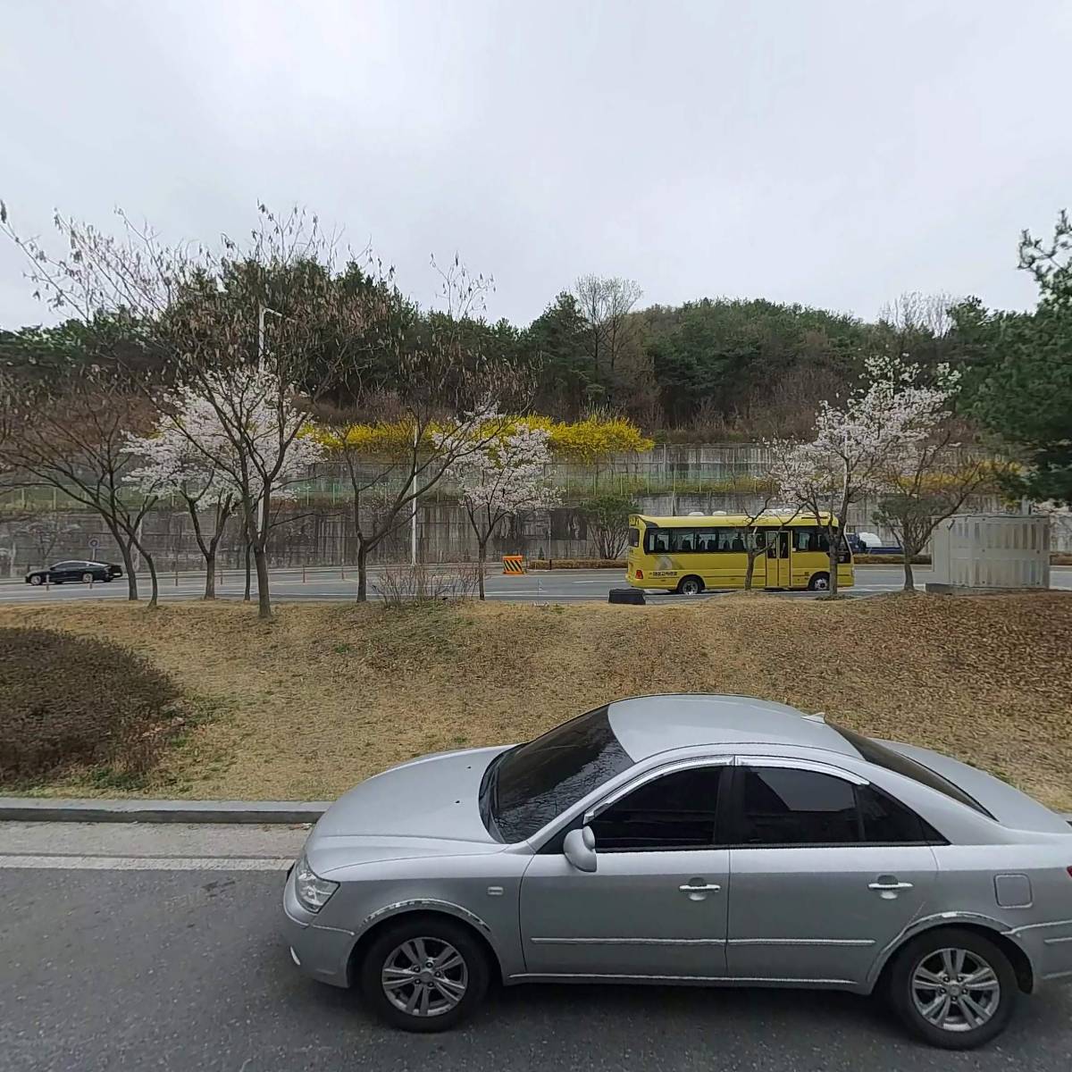 코지_3