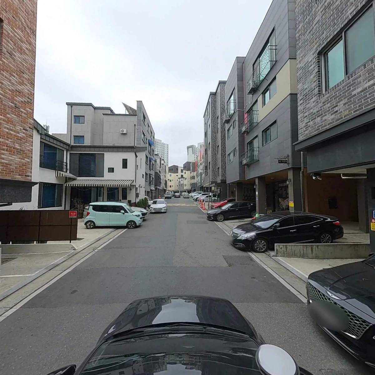 뉴턴 과일_4