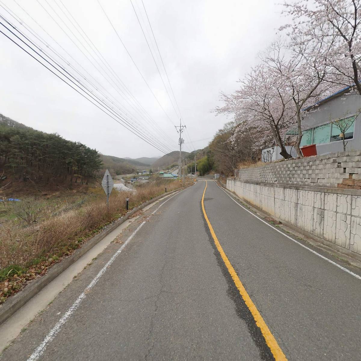 농업회사법인 유한회사 경주체리와인_2