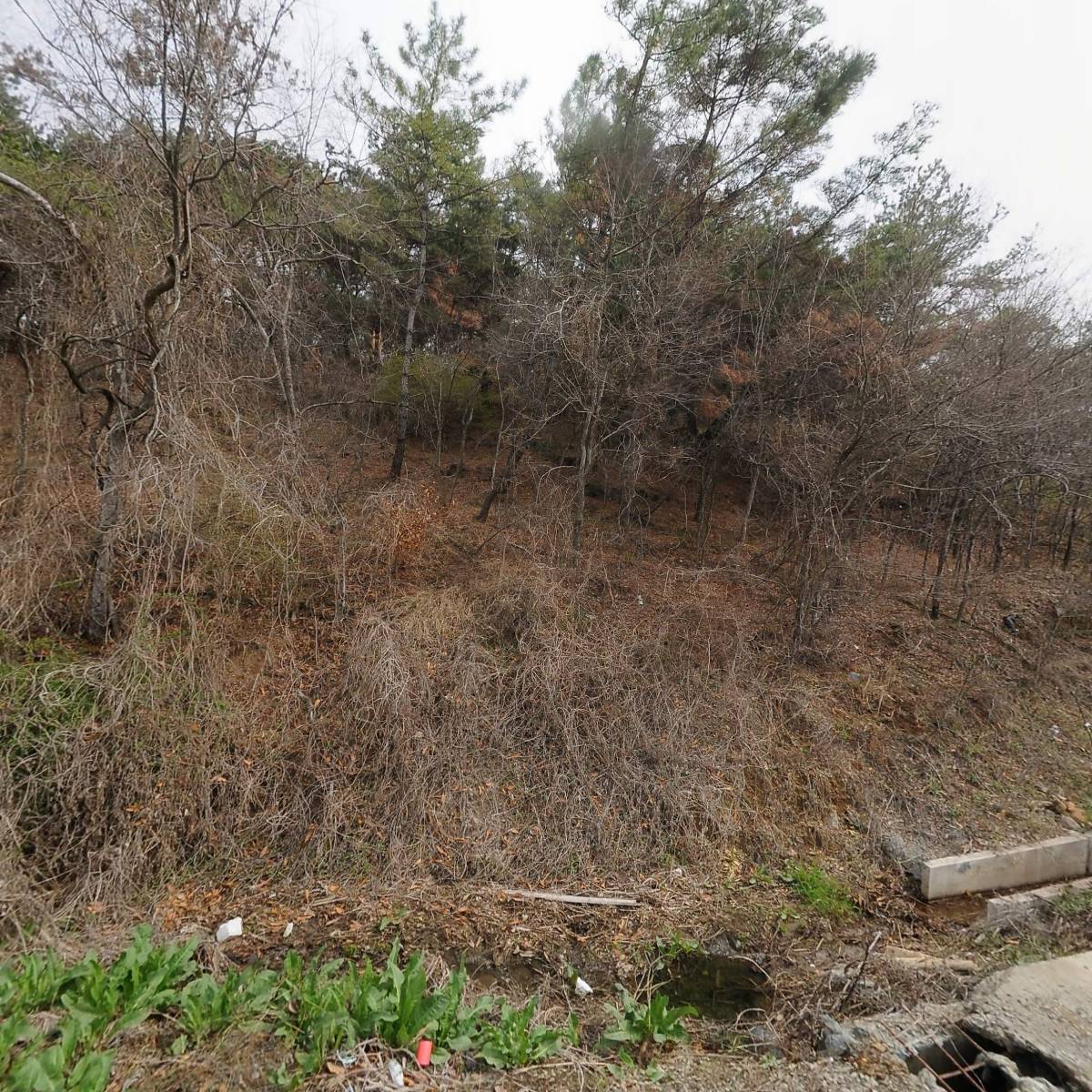 지엔지산업_3