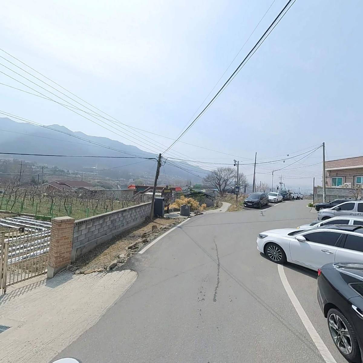 신양자강(본점)_2