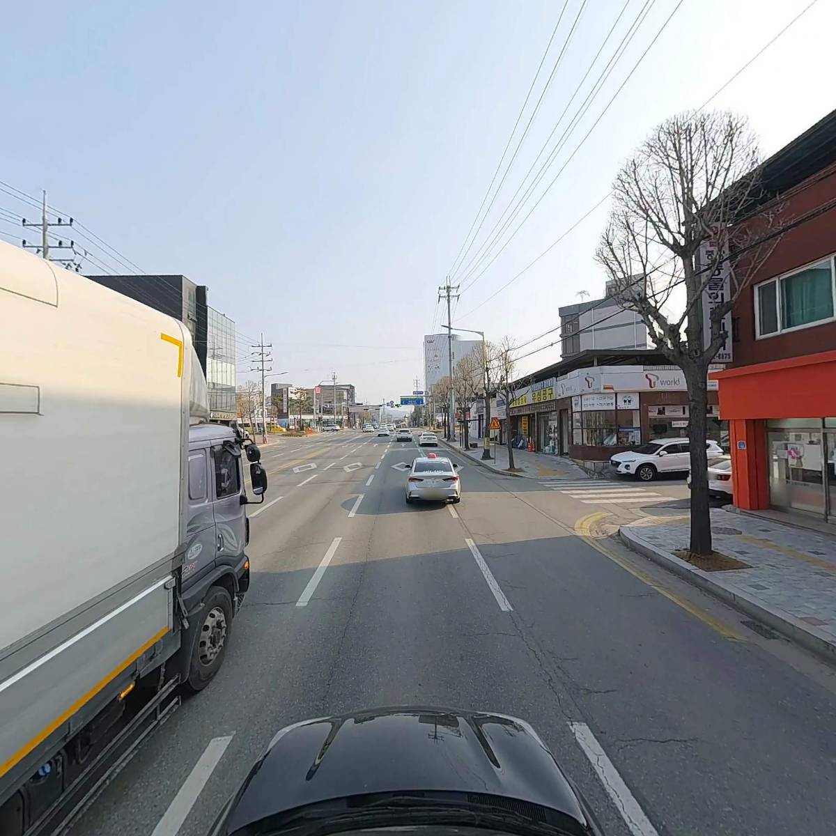 중앙동물의료센터_4