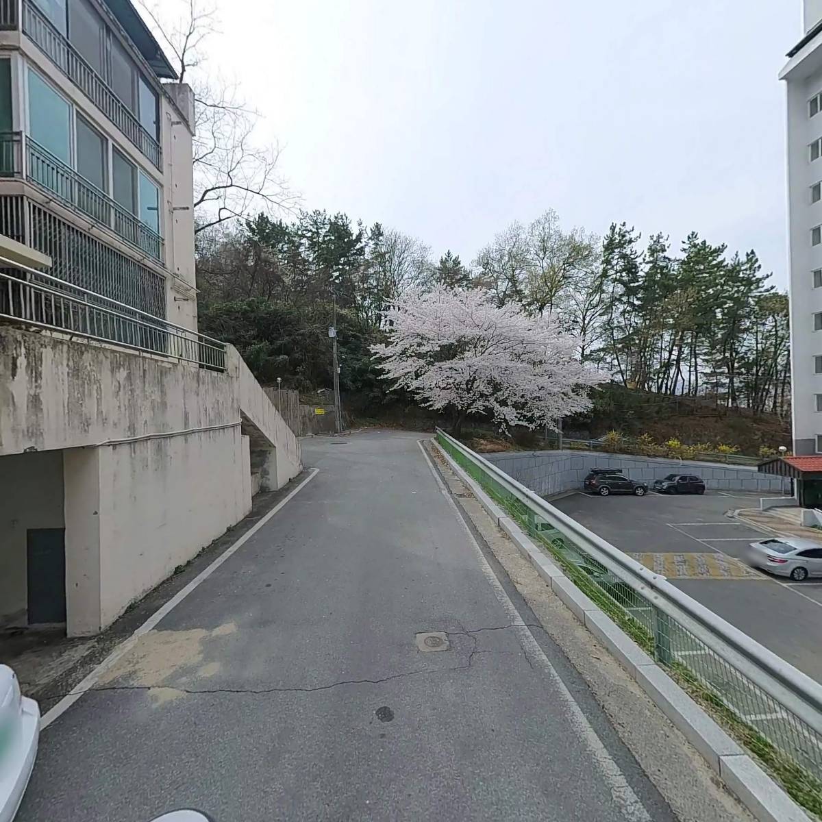 신경희_2