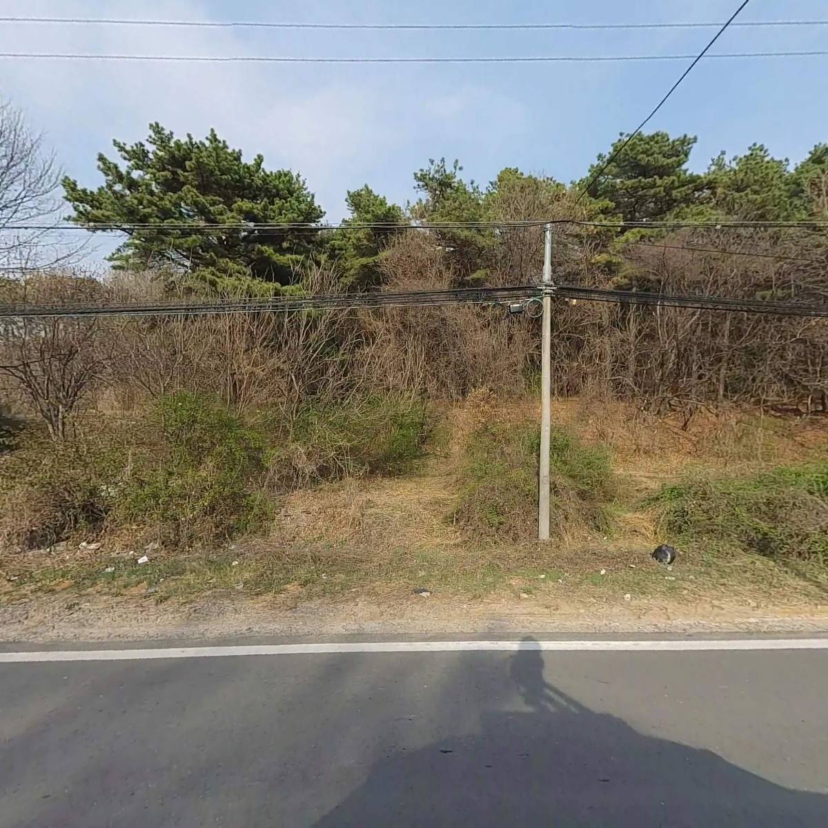 (주)대우에스티_3