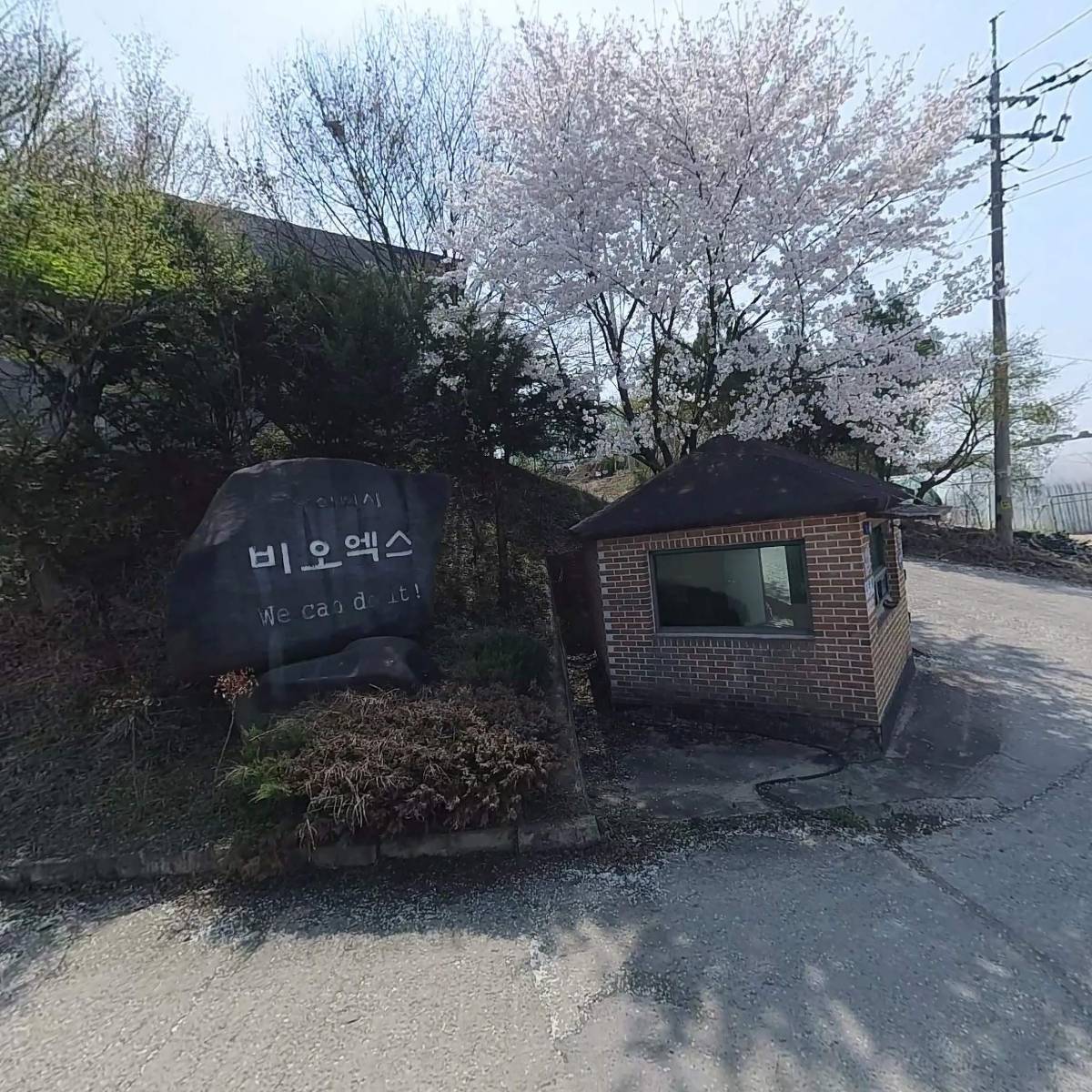 (주)비오엑스지점