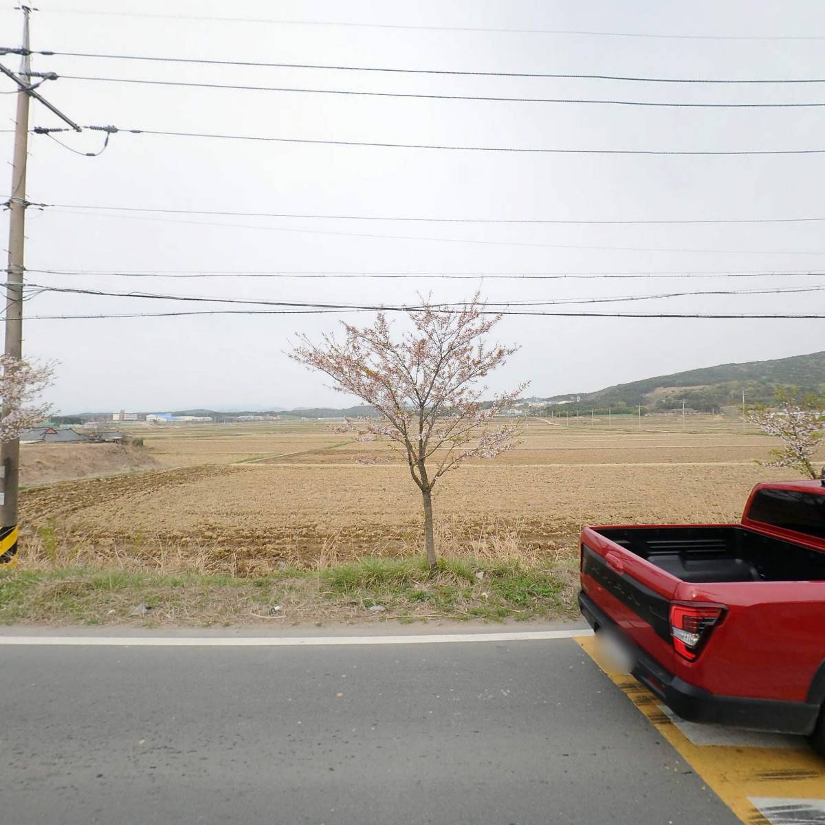 엔티씨（NTC）_3