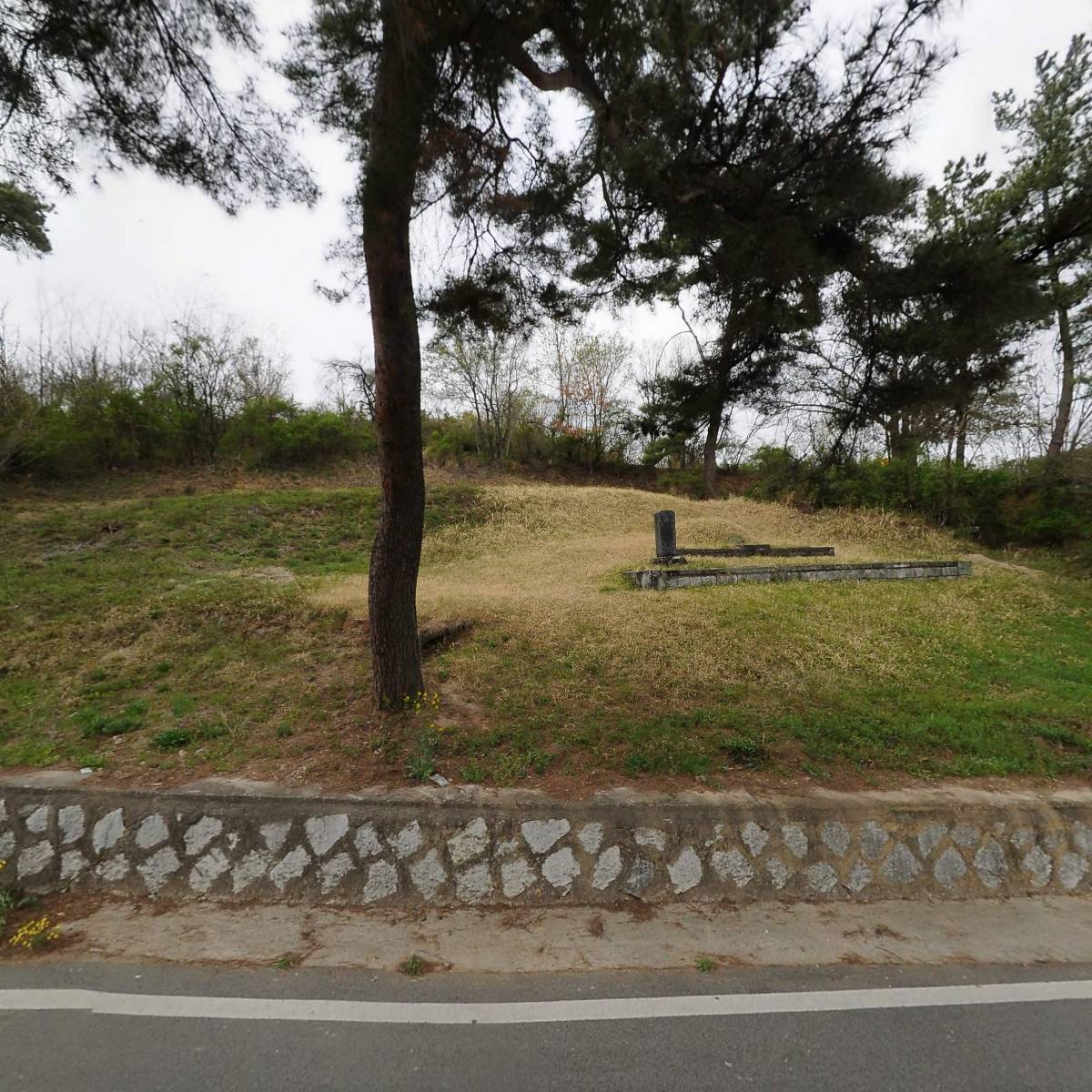 스페스(SPES)_3