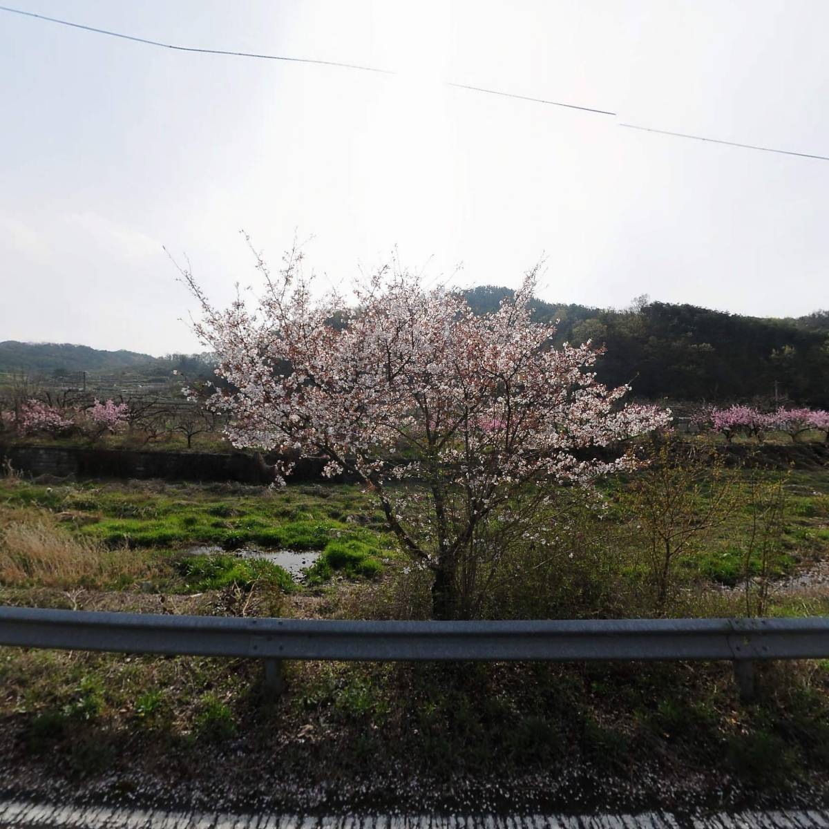 주식회사 거빈