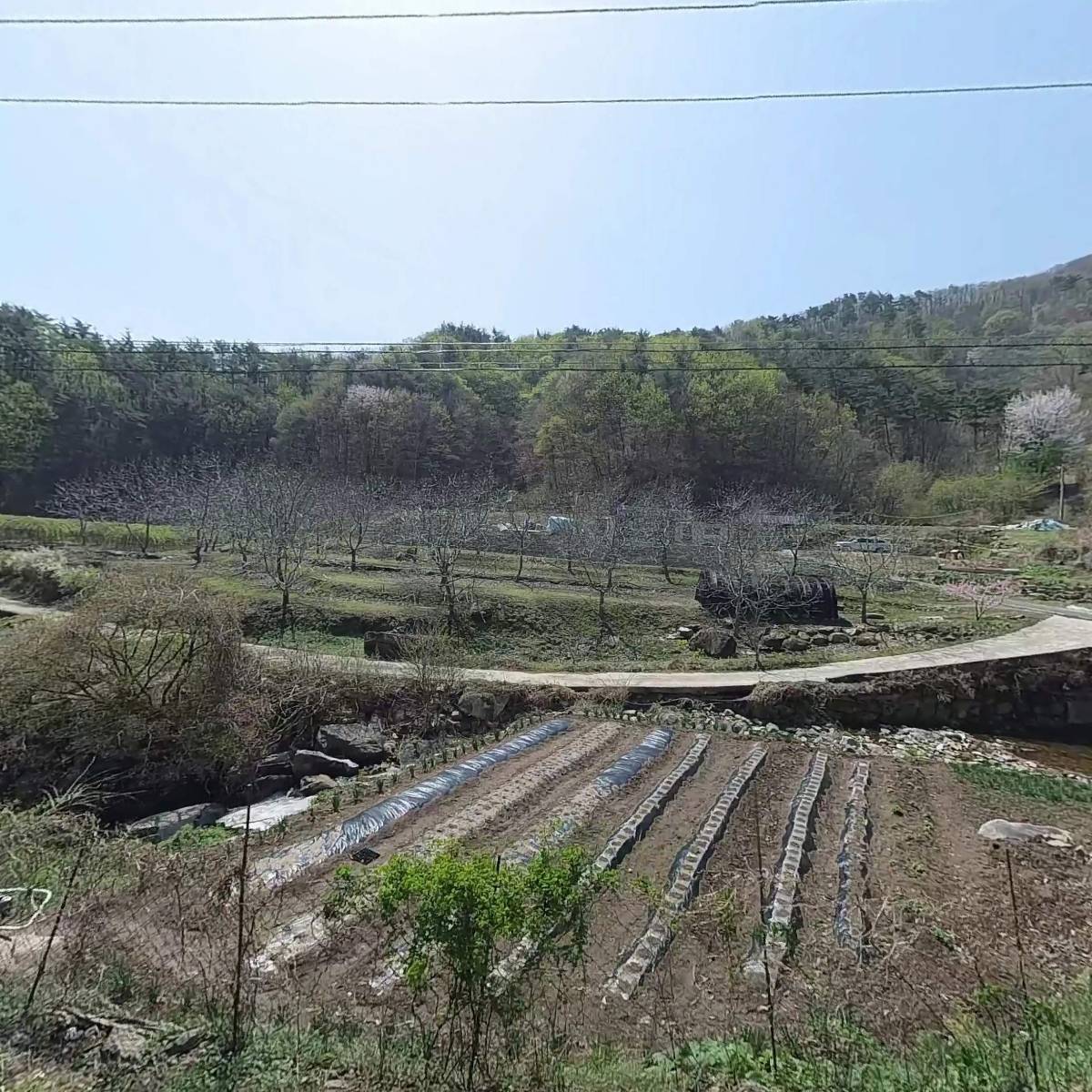 농업회사법인 산할아버지농장 주식회사_3