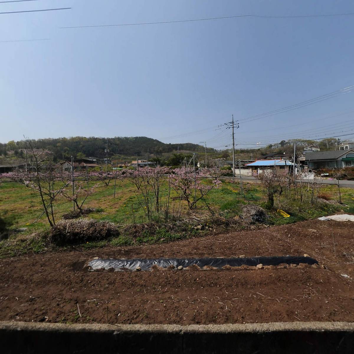 친정농업회사법인(주)