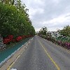 한채쭈꾸미_2