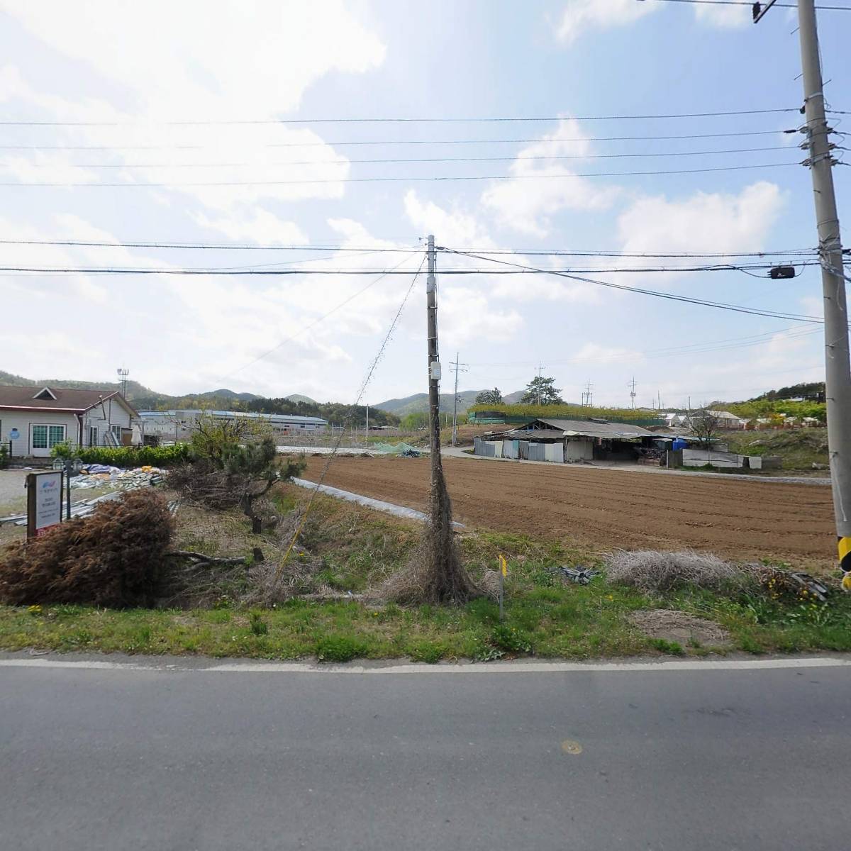 영농조합법인 블루썸_3