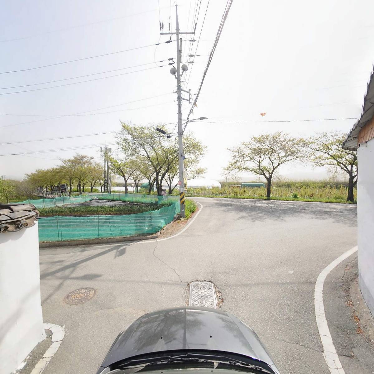 진미돼지국밥_4