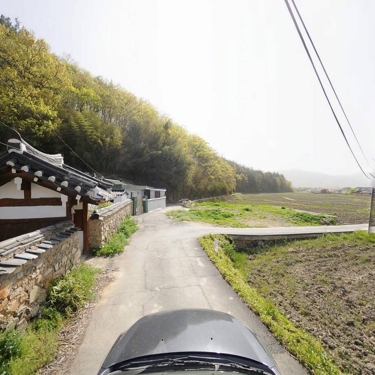 무빙아트(Moving-Art)_4