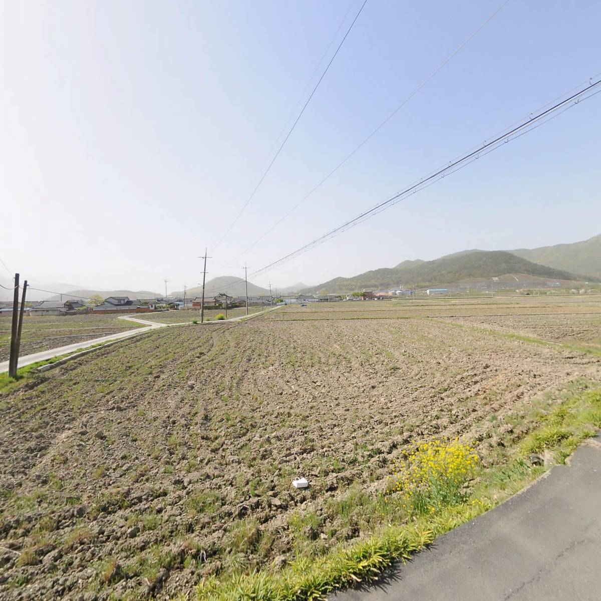 무빙아트(Moving-Art)