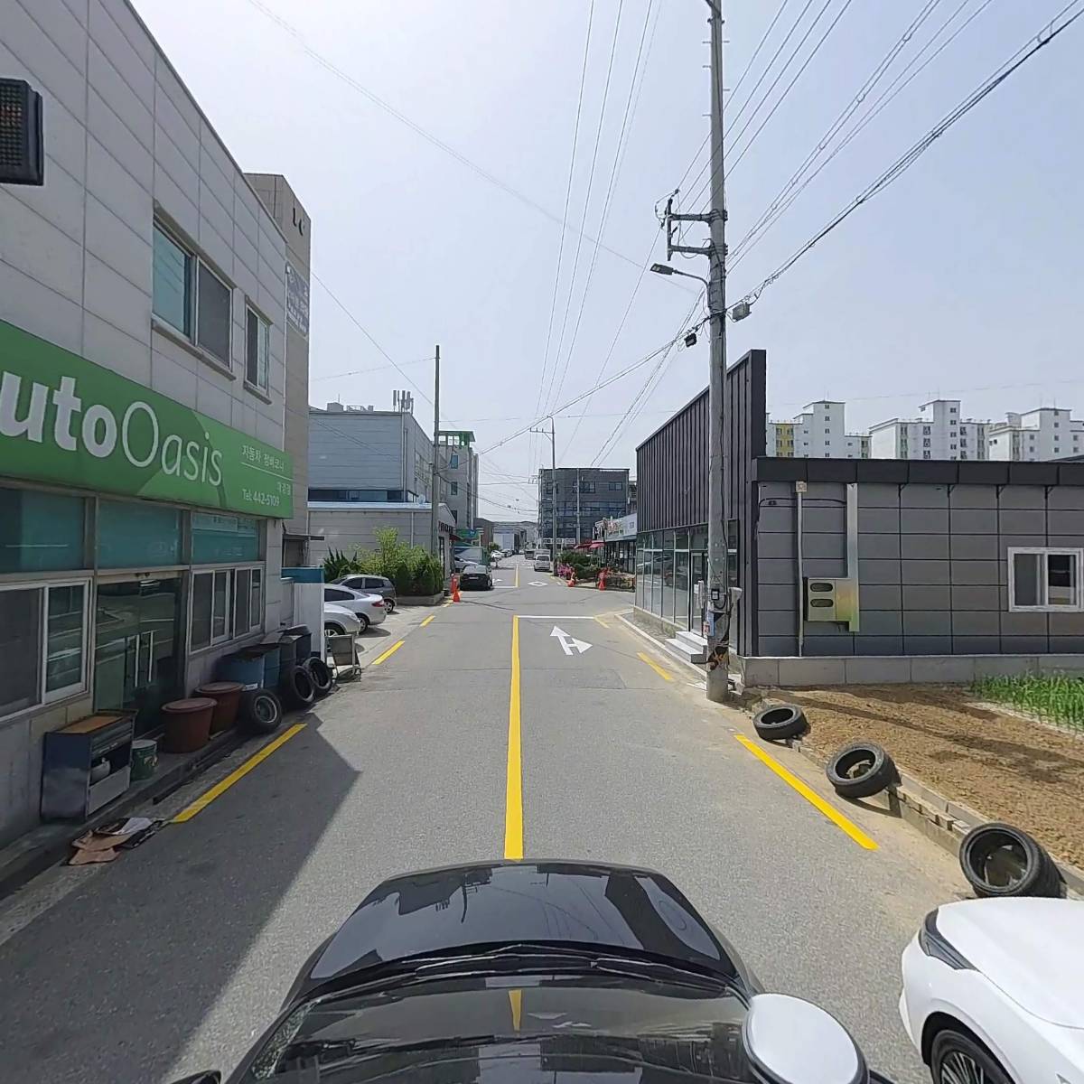 오아시스_4