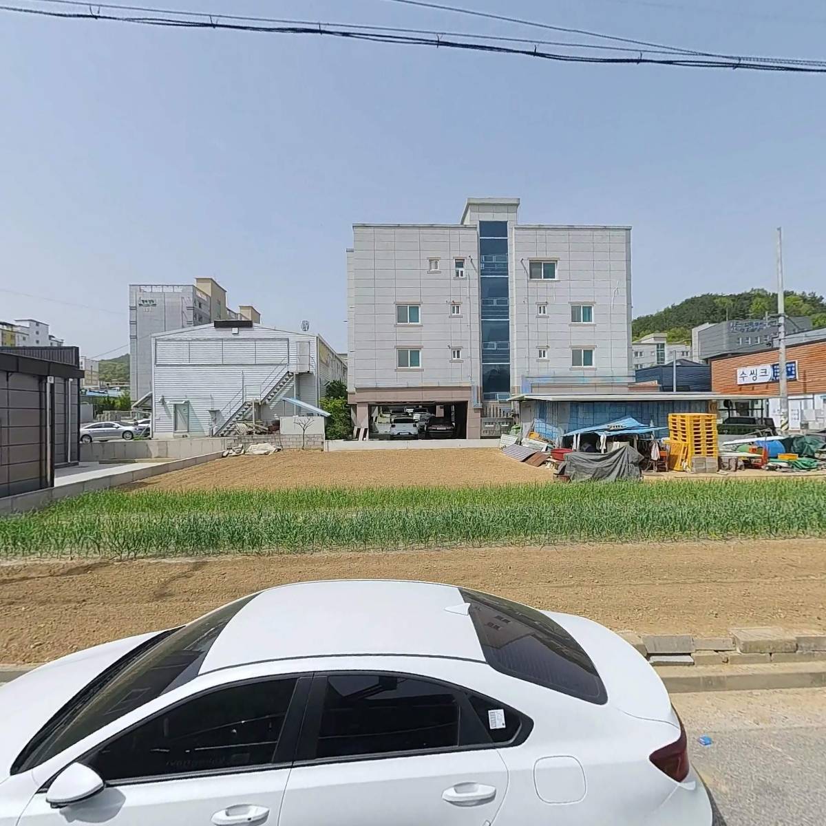 오아시스