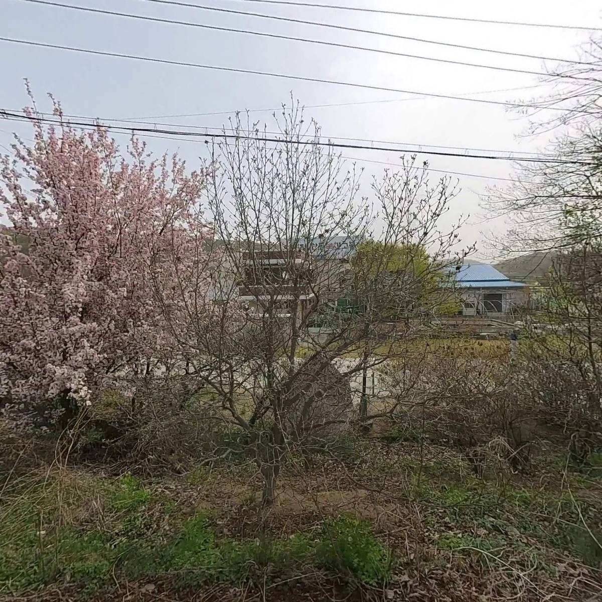 안동종가음식유통센터