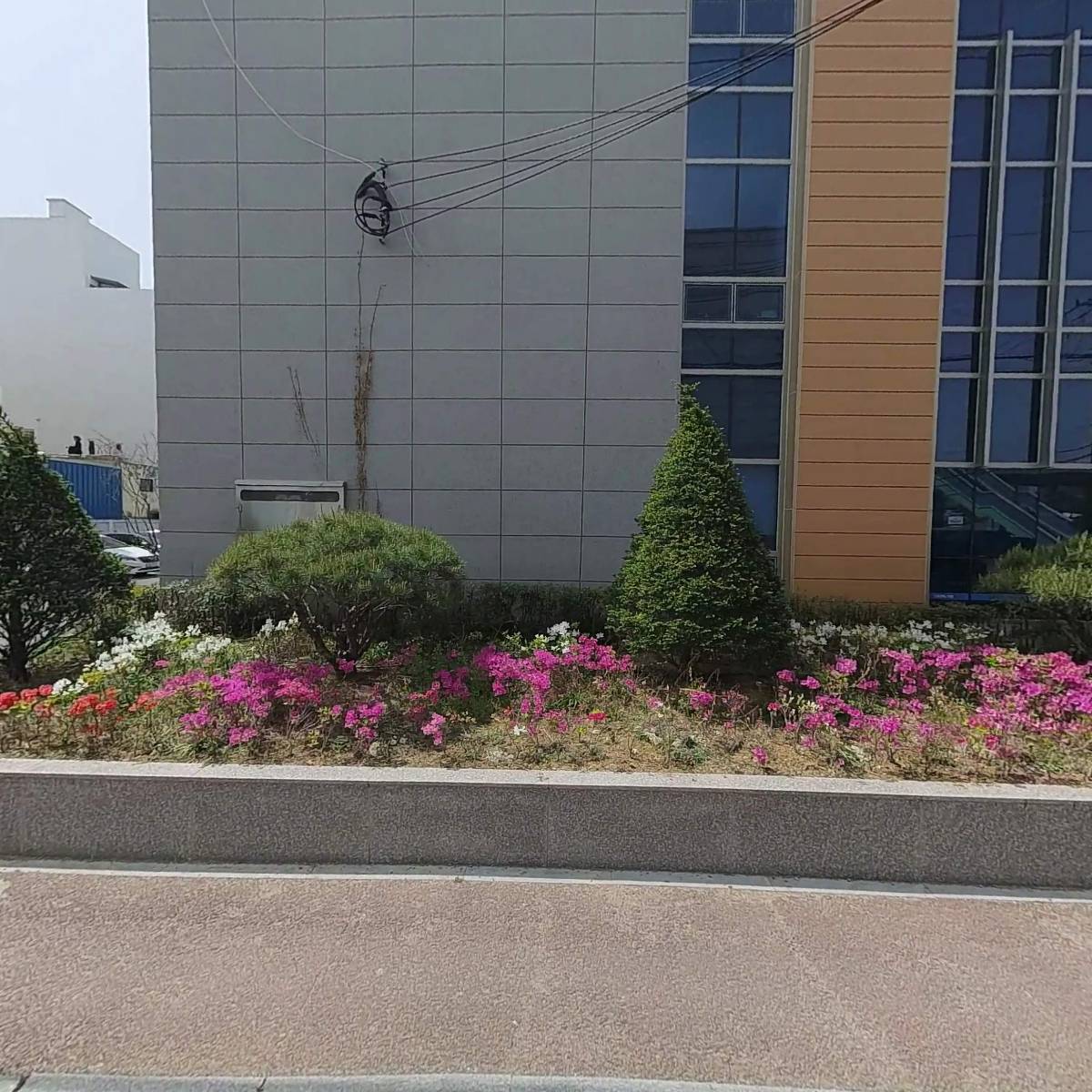 뉴욕미르치과의원