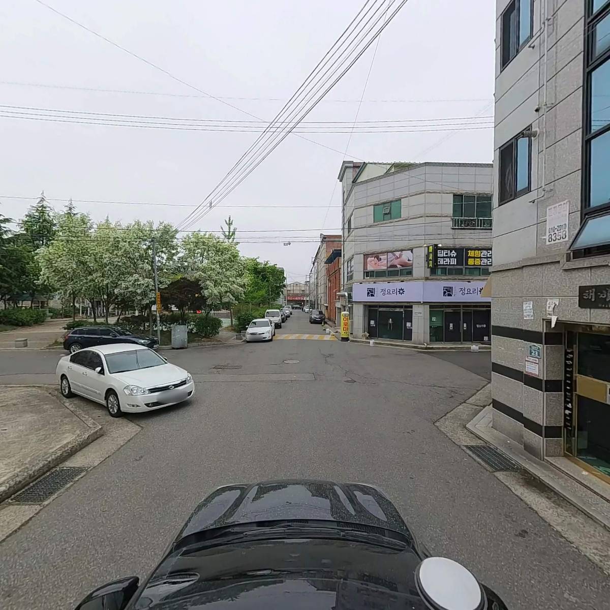 네일 도화_4