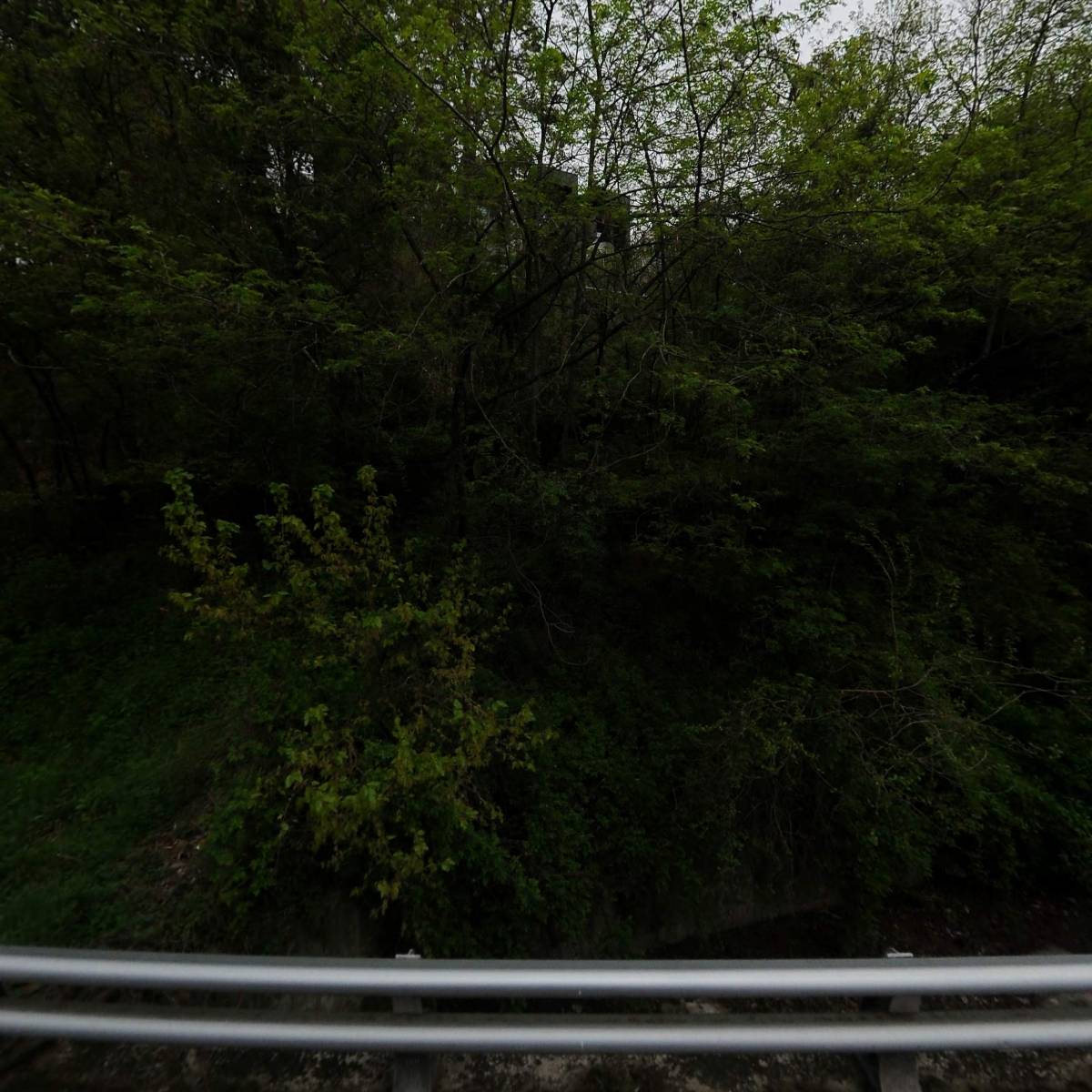 더포레풀빌라