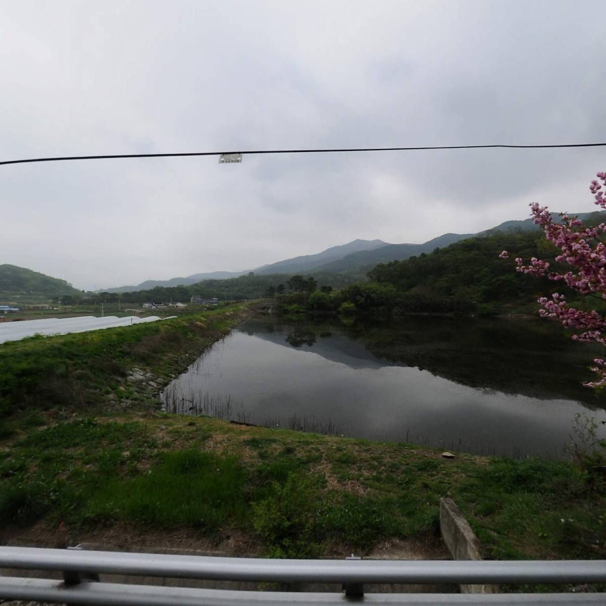 더포레풀빌라_3