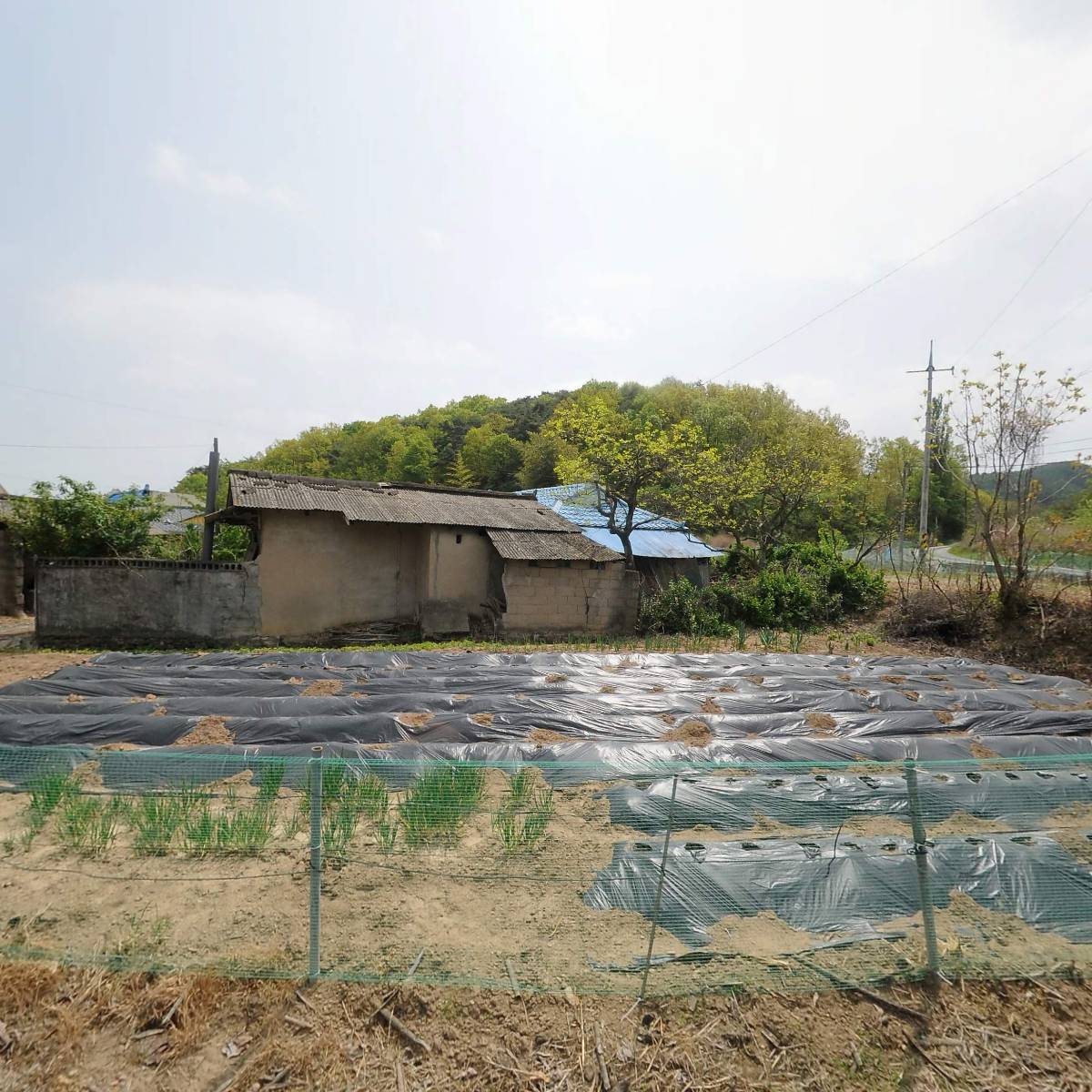 북안면 서당리 경로당_3