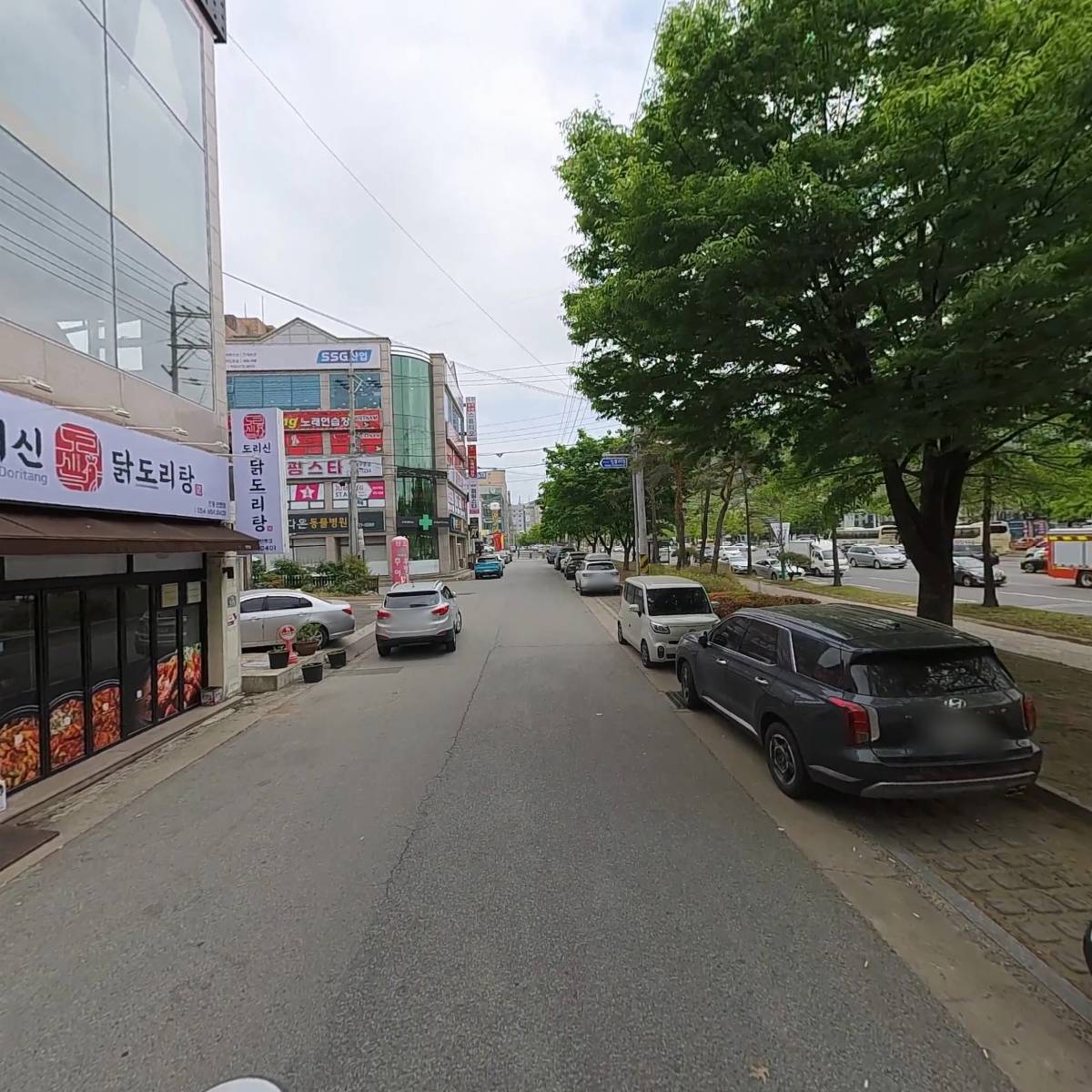 진참치_2