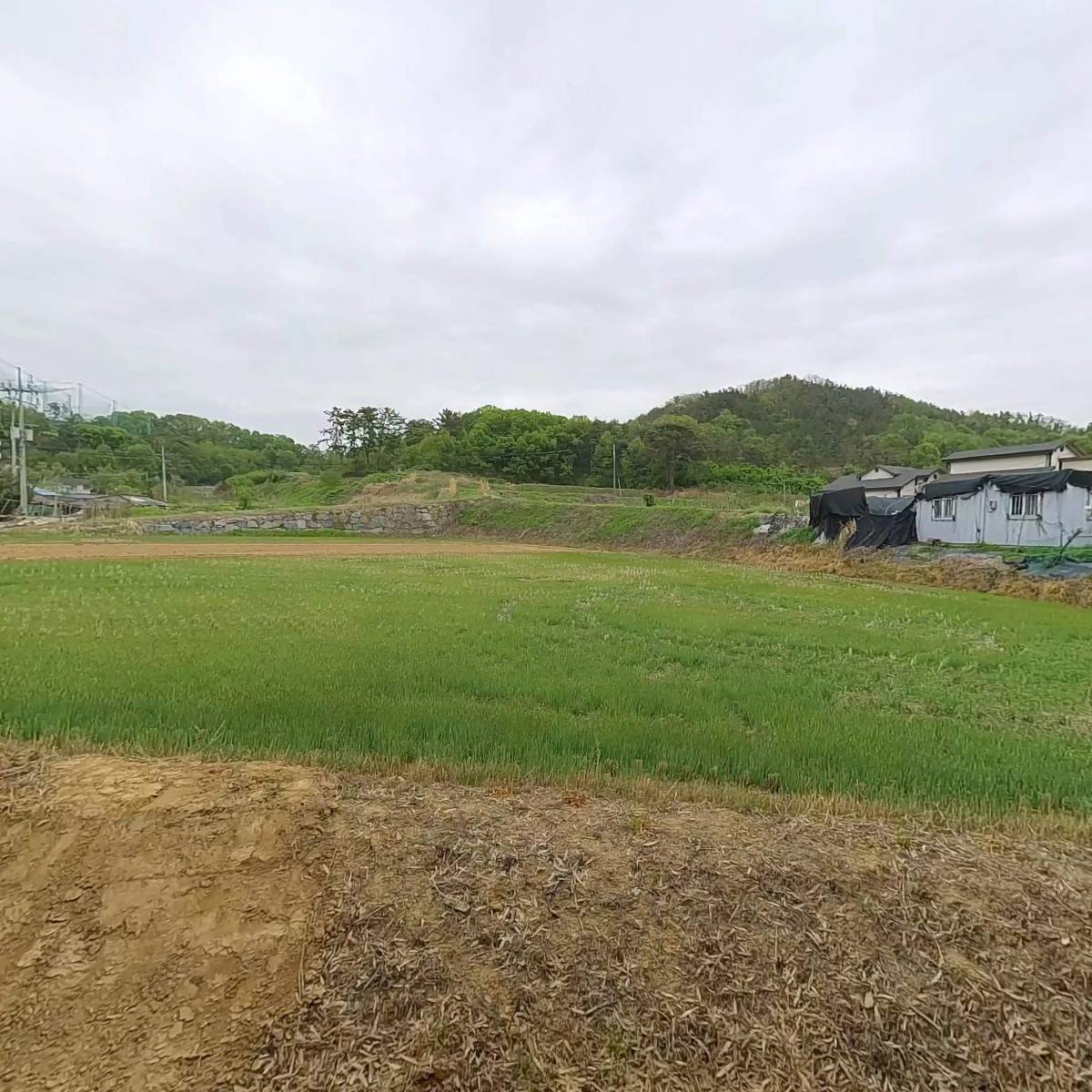 구미농산_3