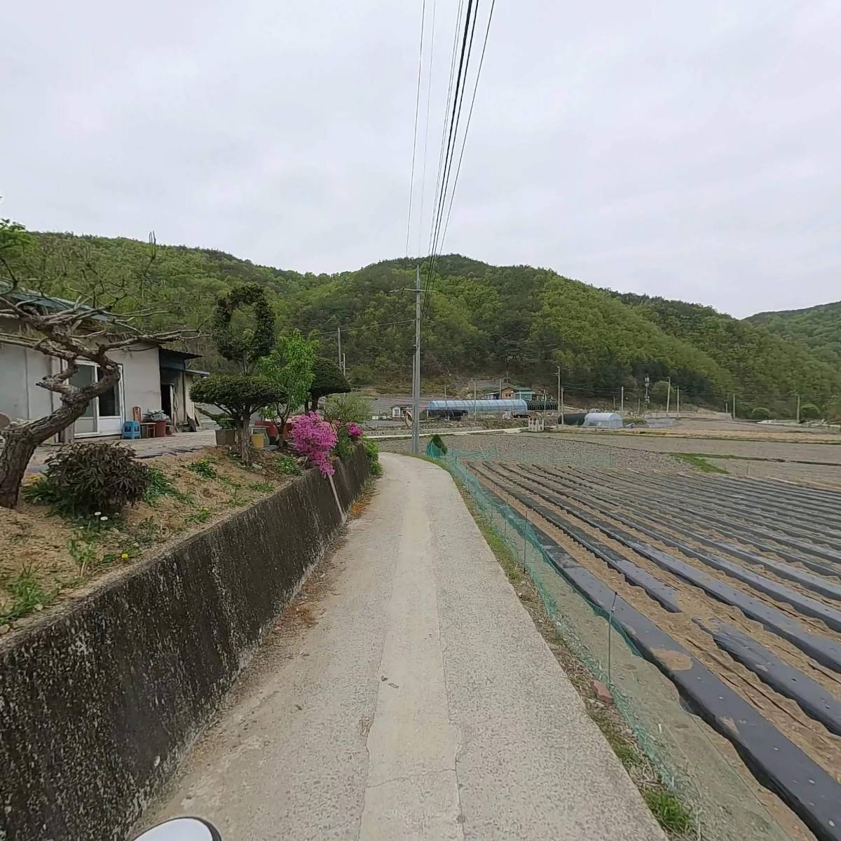 갈라산멧돼지농장식당_2