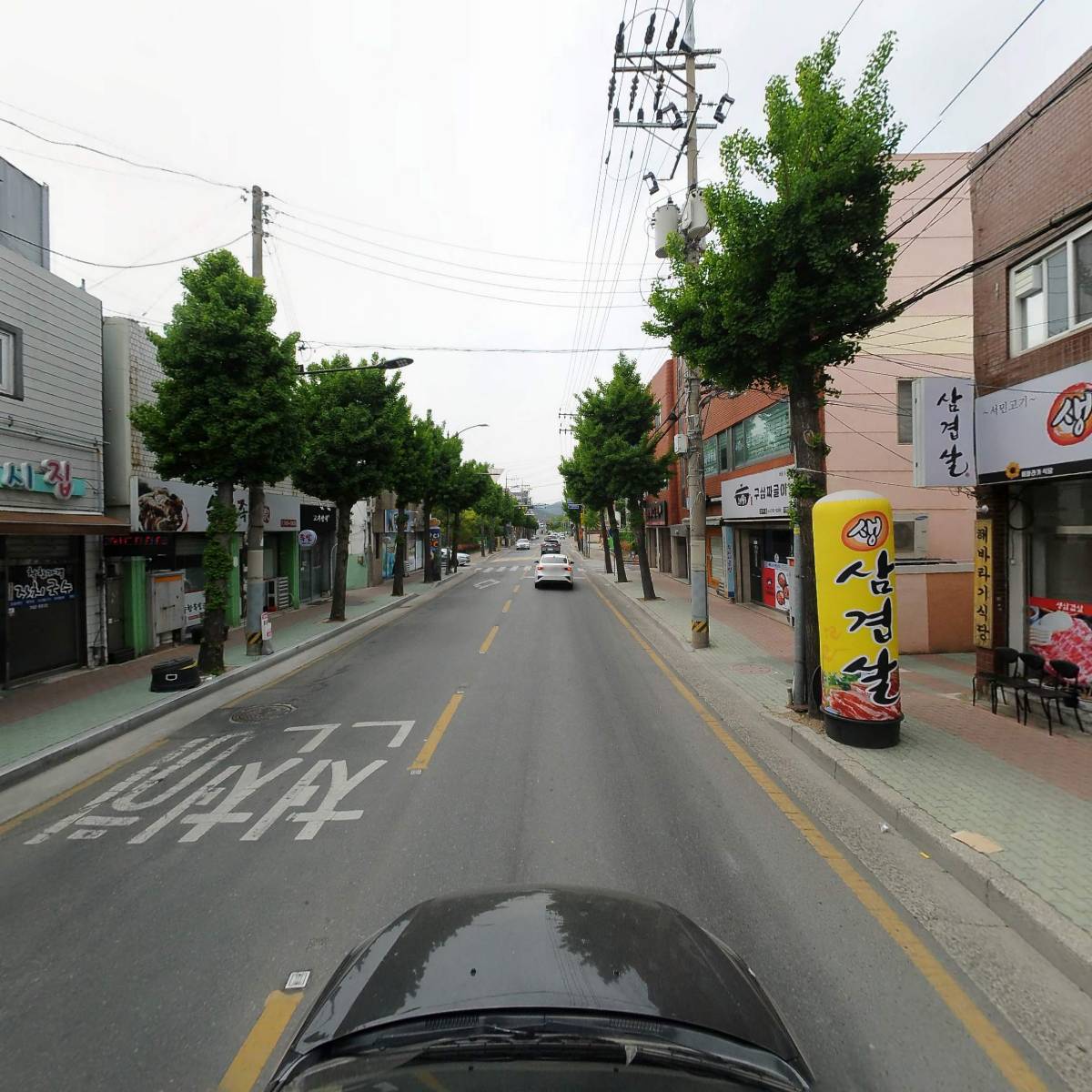 푸르르(prrr)_4