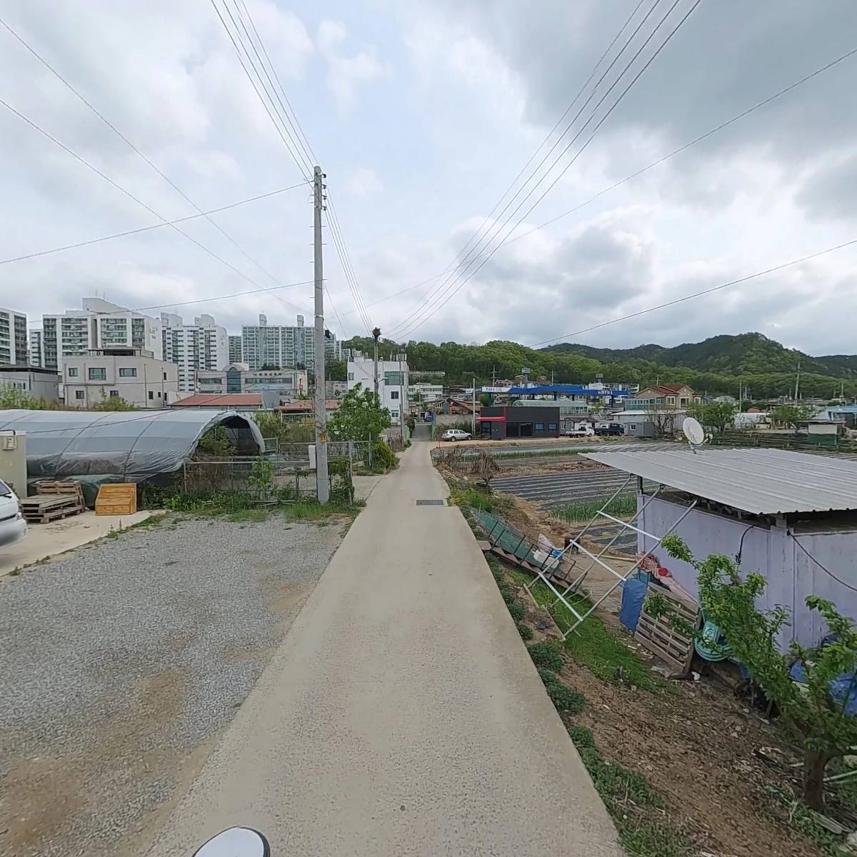 조박사 일품오리_2