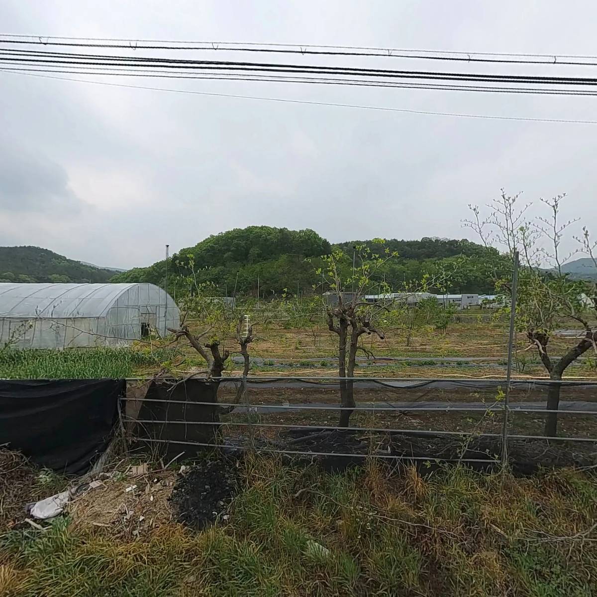 원강전자