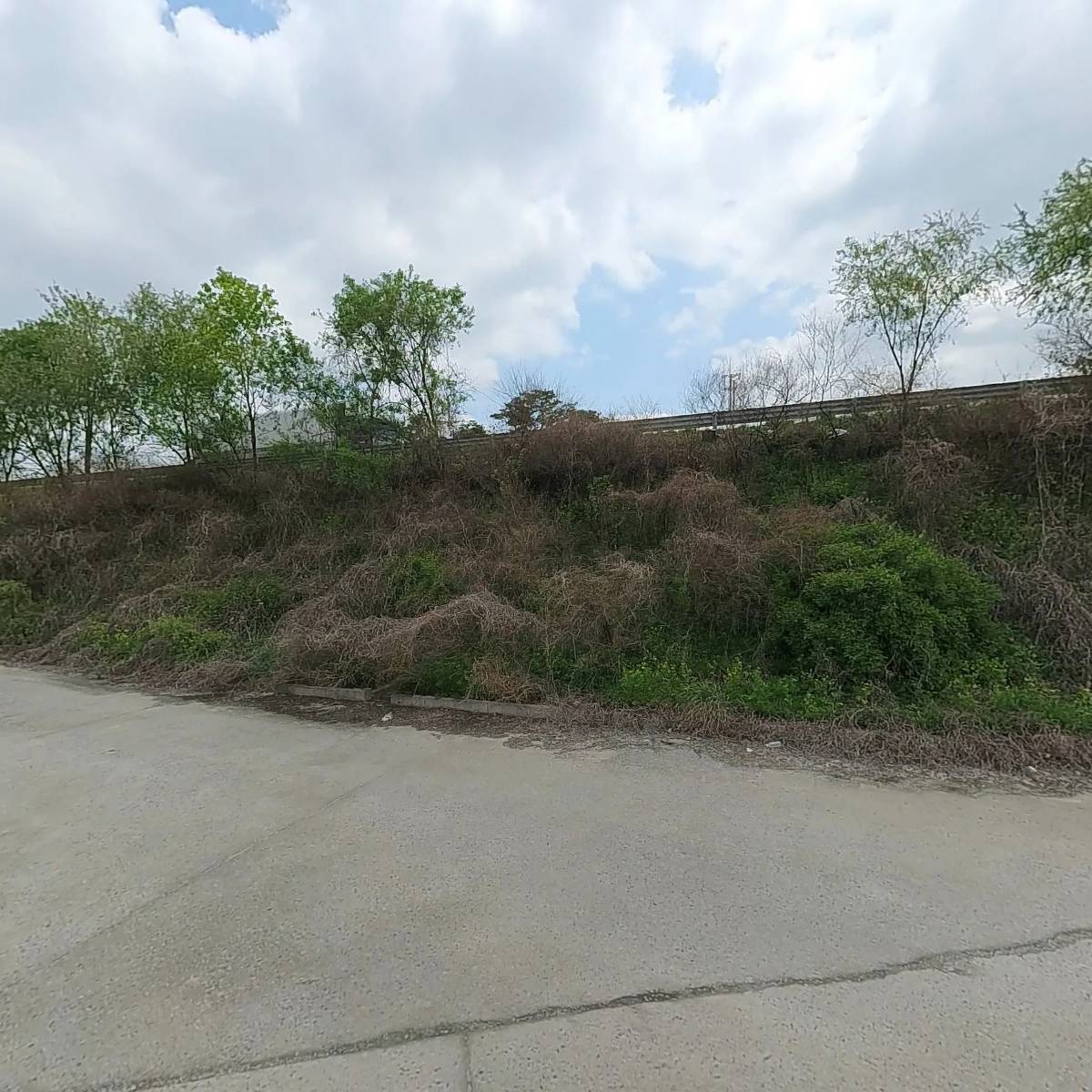 (주)국제화학