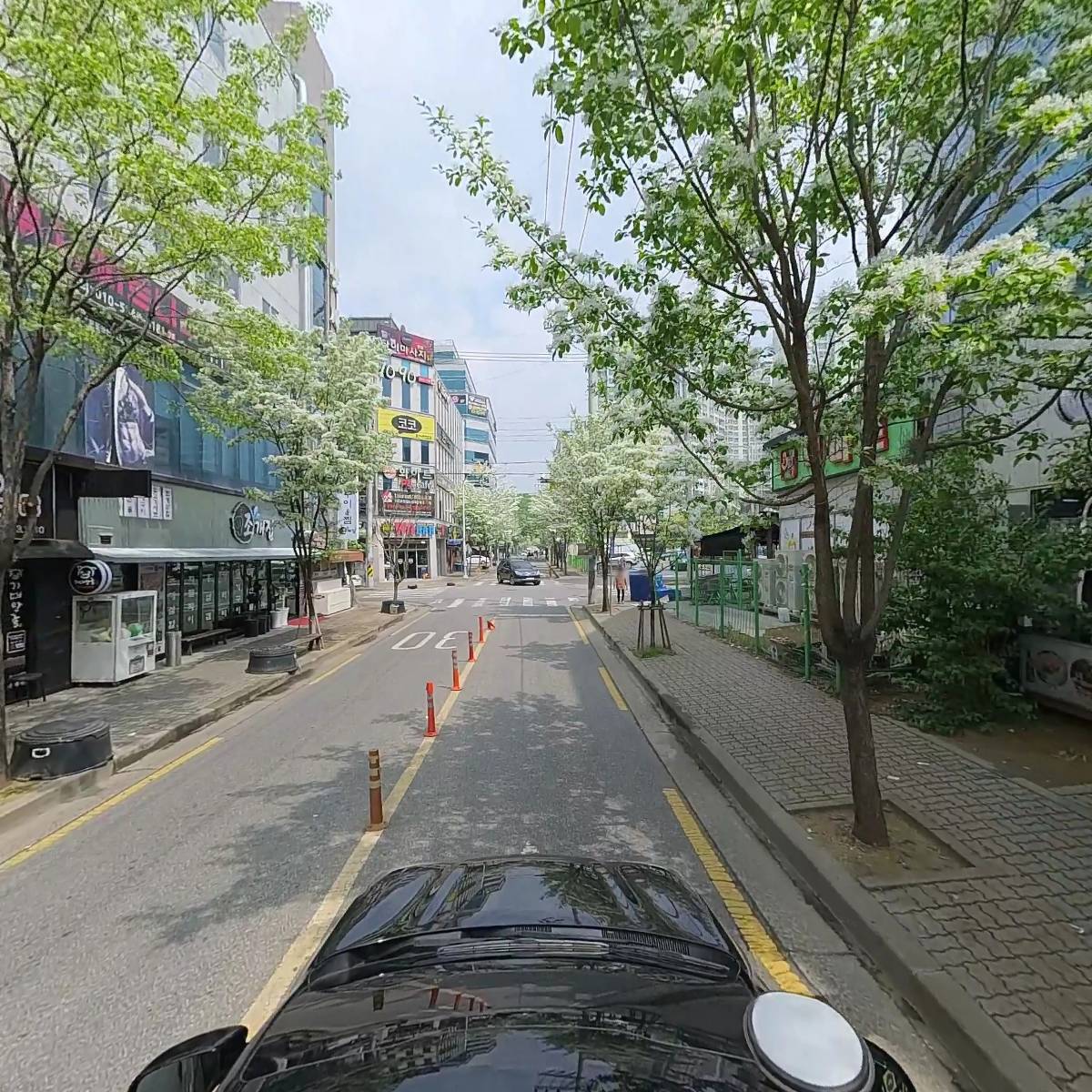 빅마트야채_4