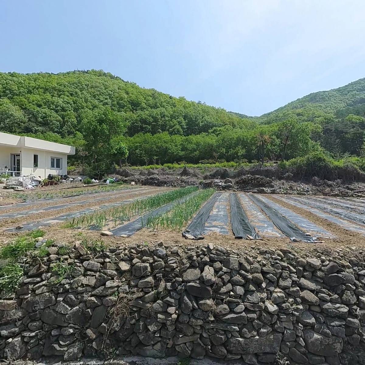 주식회사 케이디