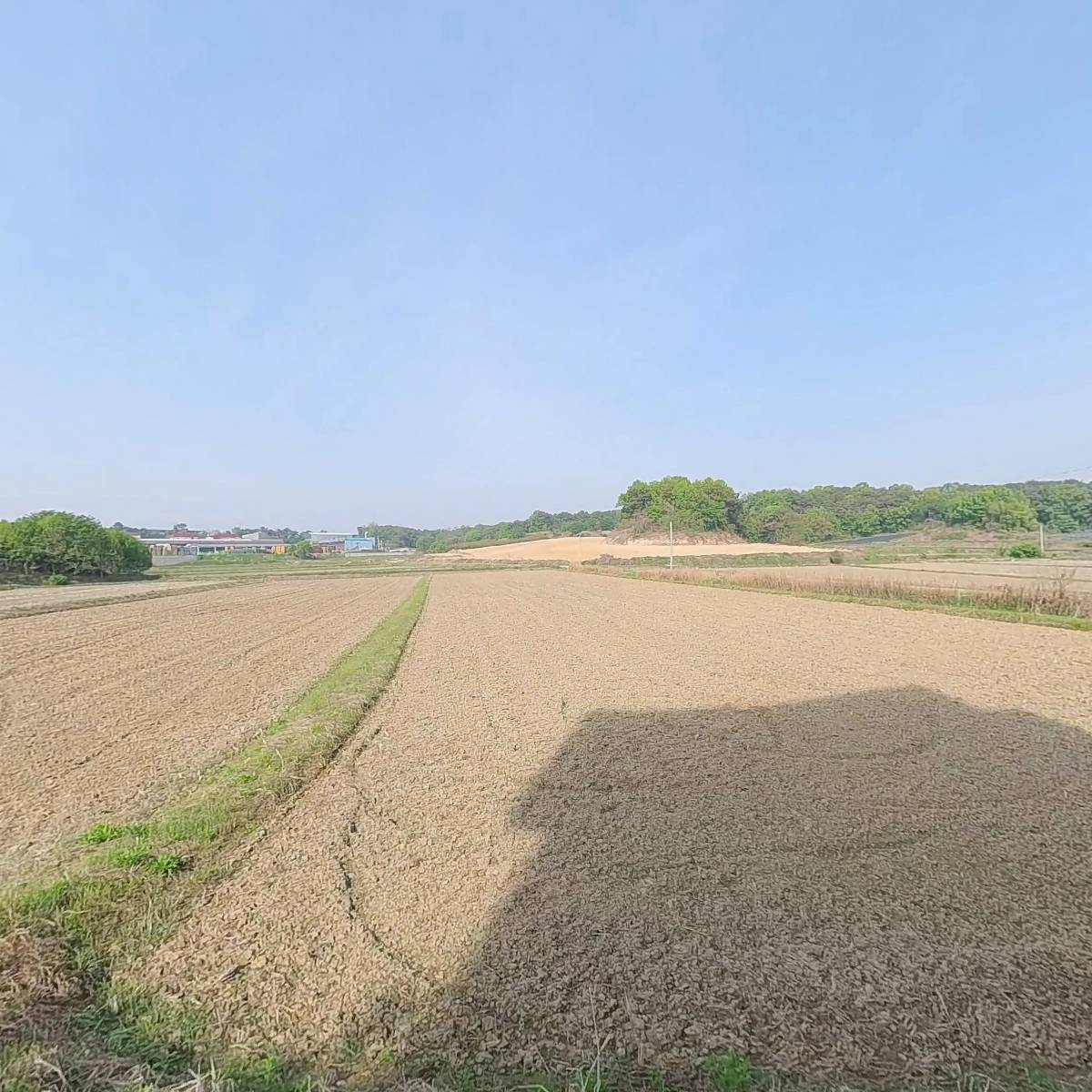 대금고등학교
