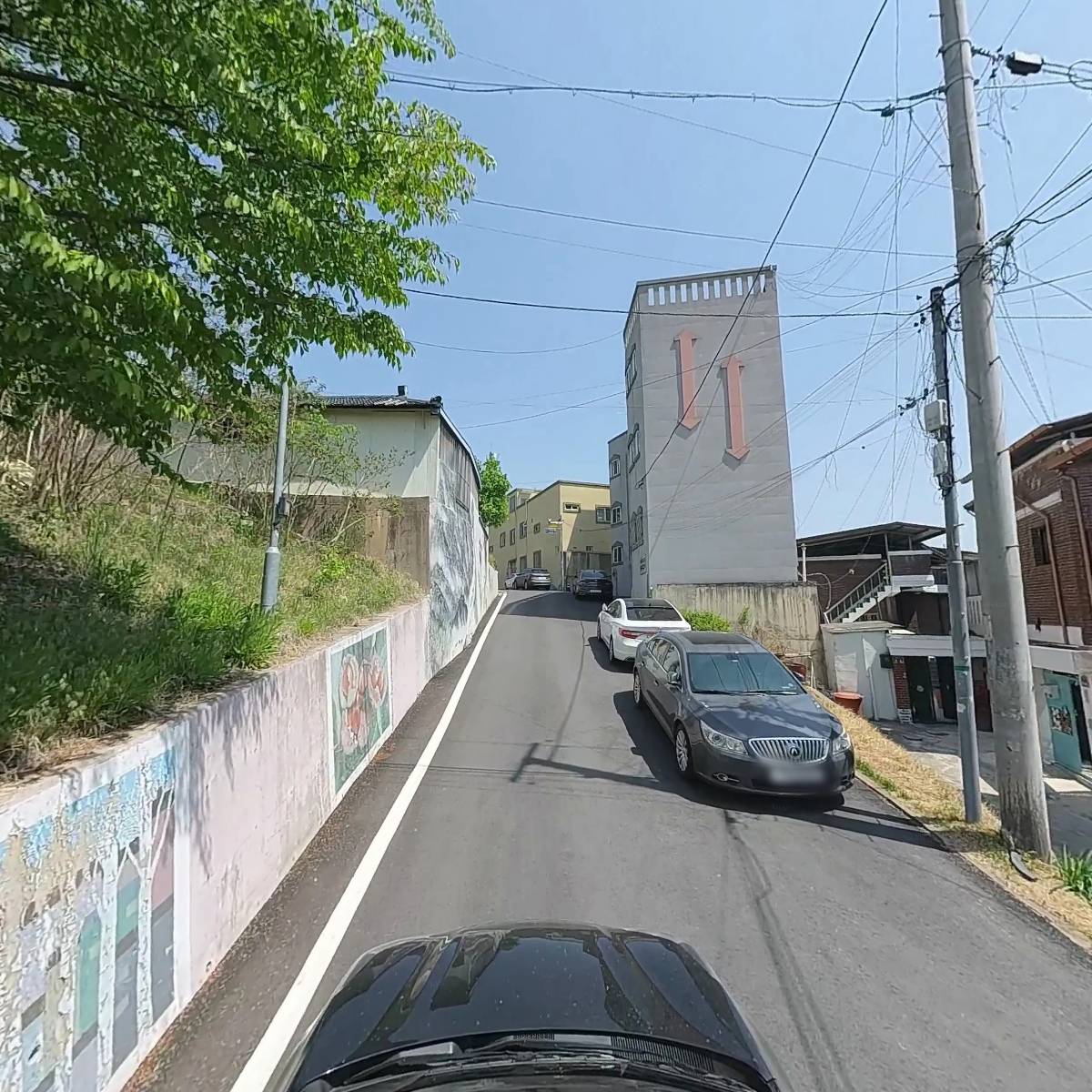 와룡초등학교 36회동기회 안동본부_4