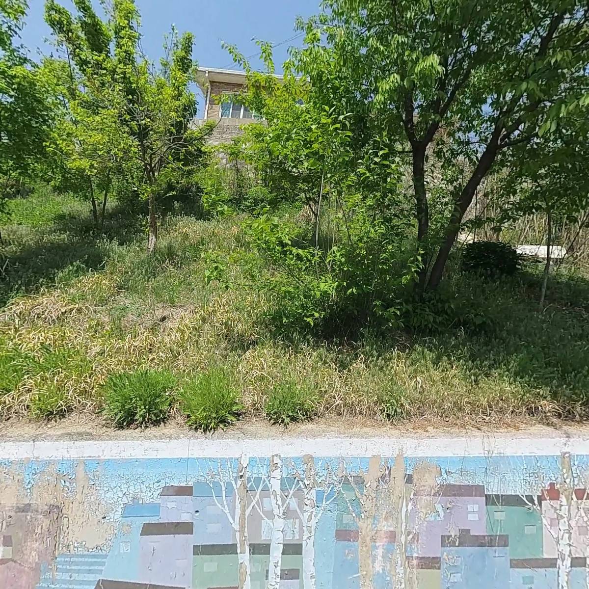 와룡초등학교 36회동기회 안동본부_3
