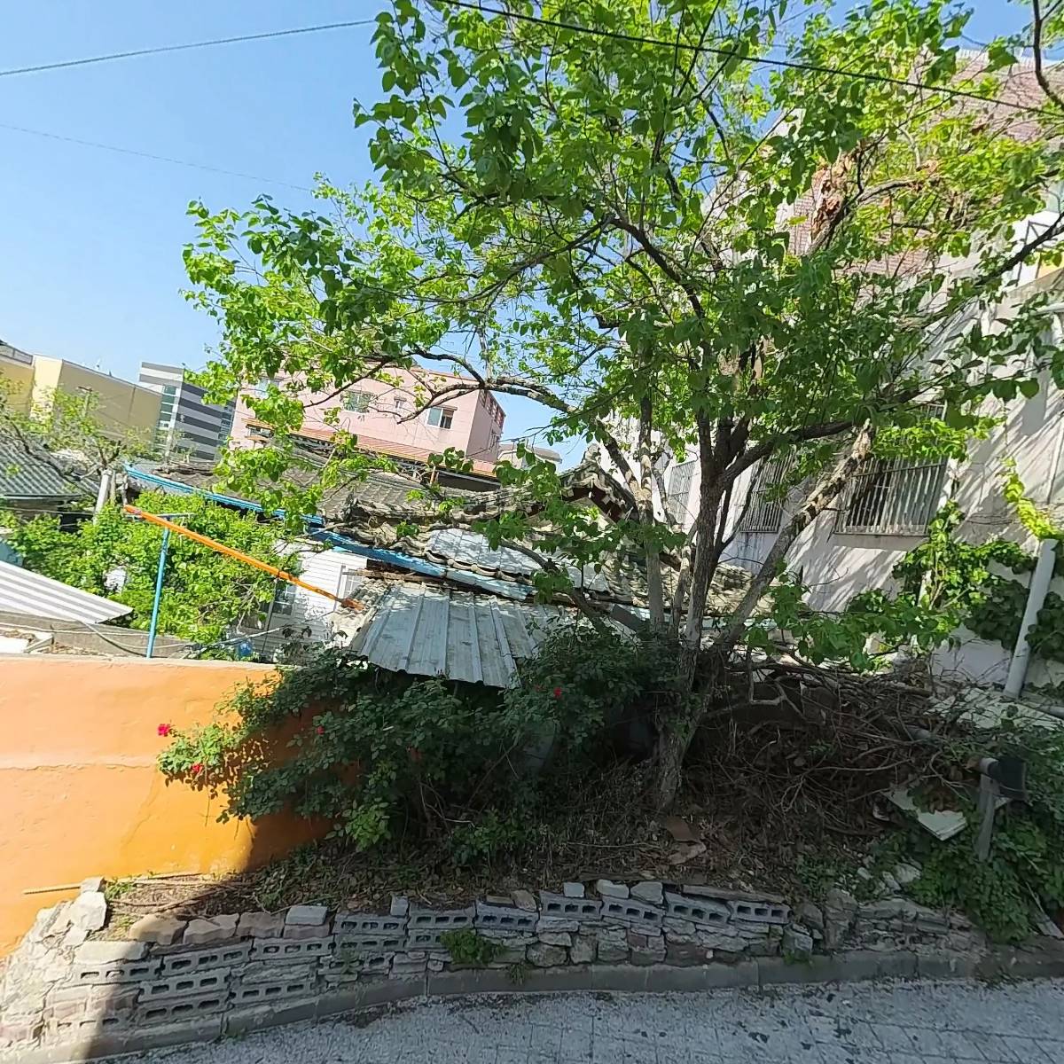 청하감자탕_3