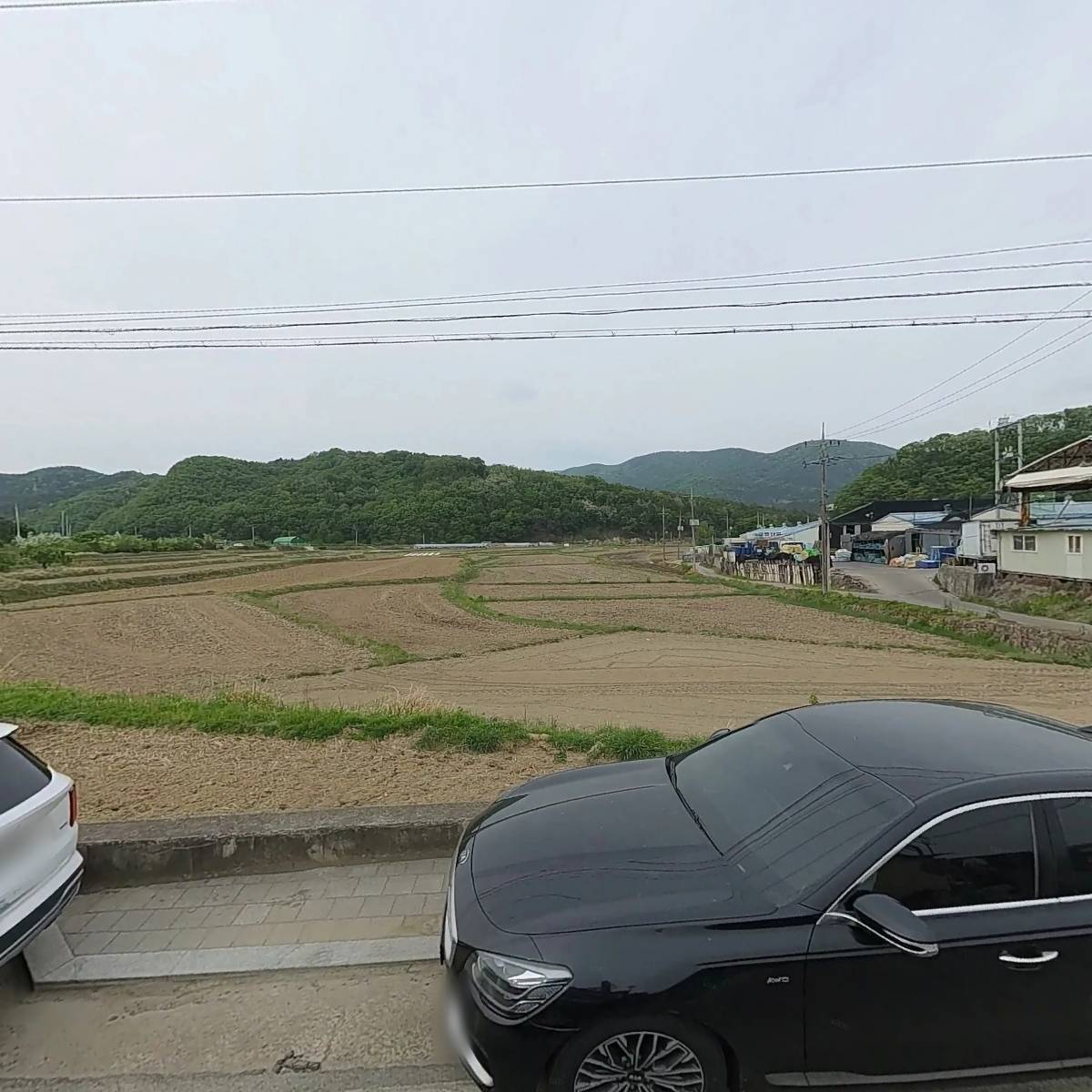 대식물산