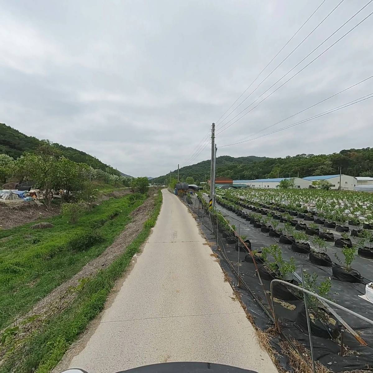 태현영농조합법인_2