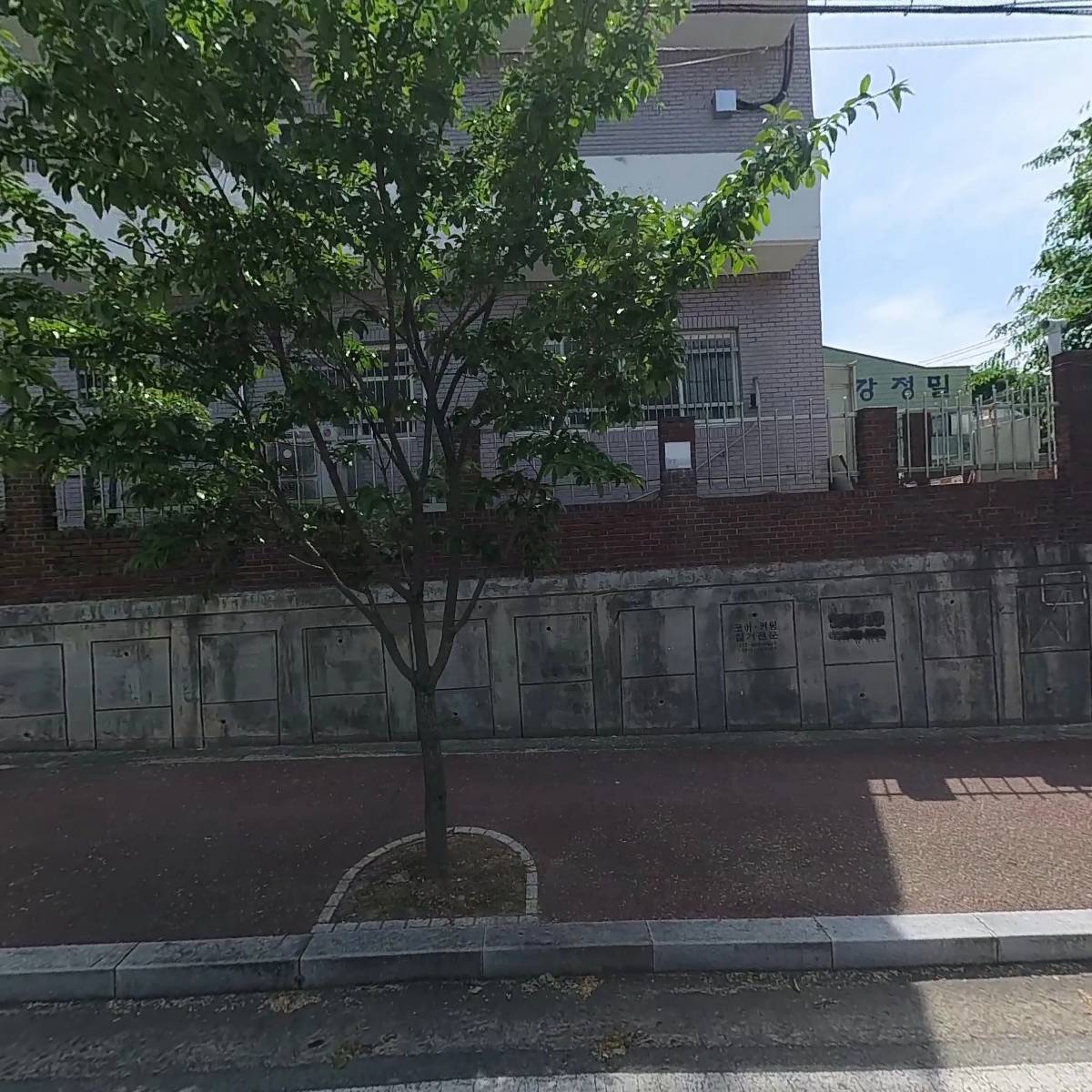 마이밸유