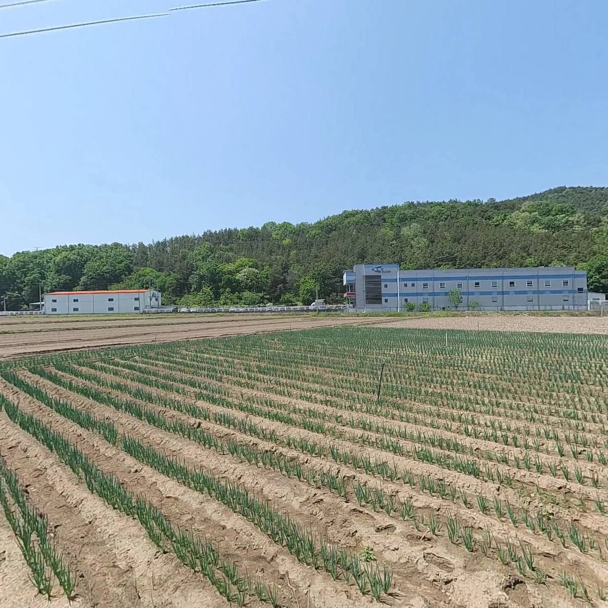 네트이엔지（주）