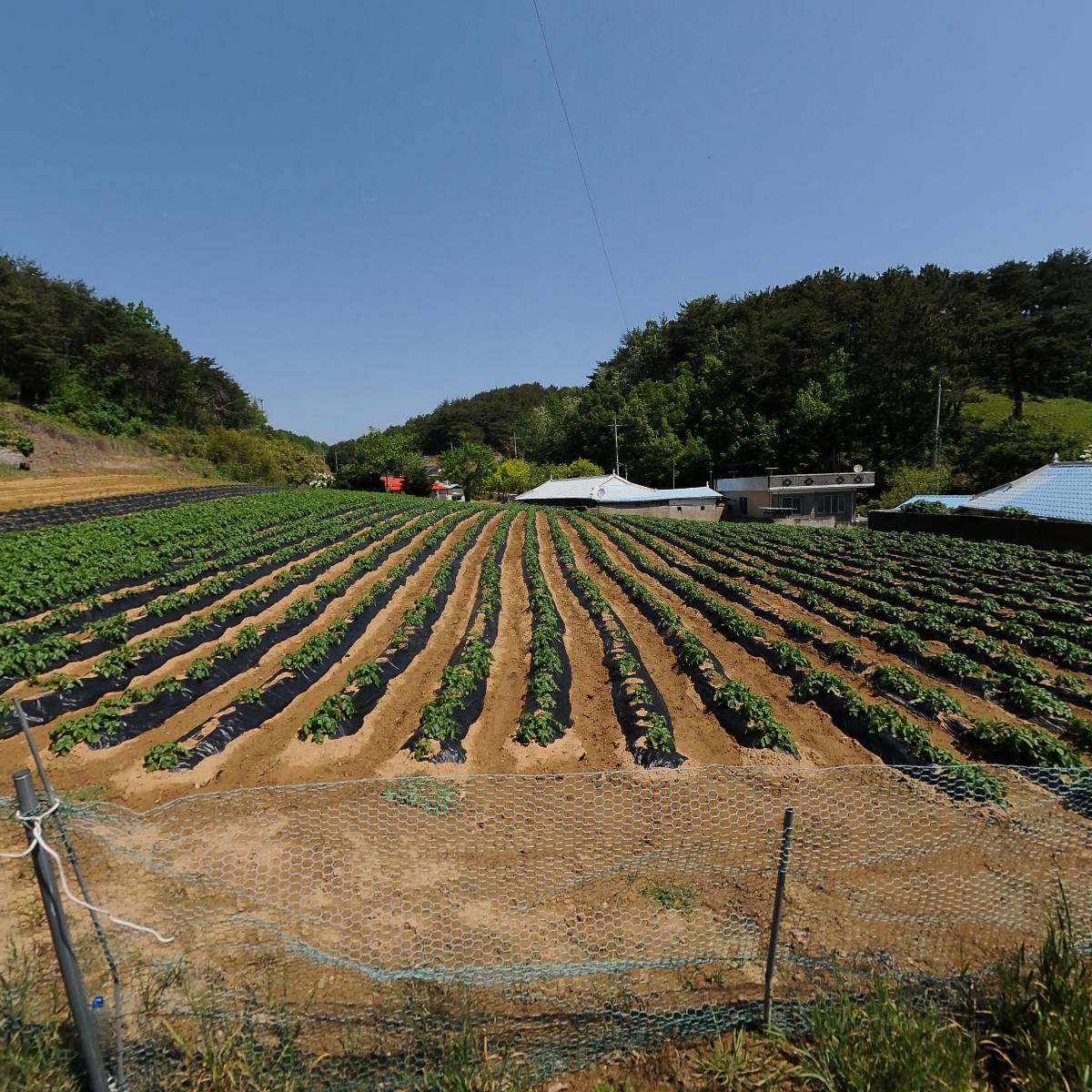 매정2리경로당